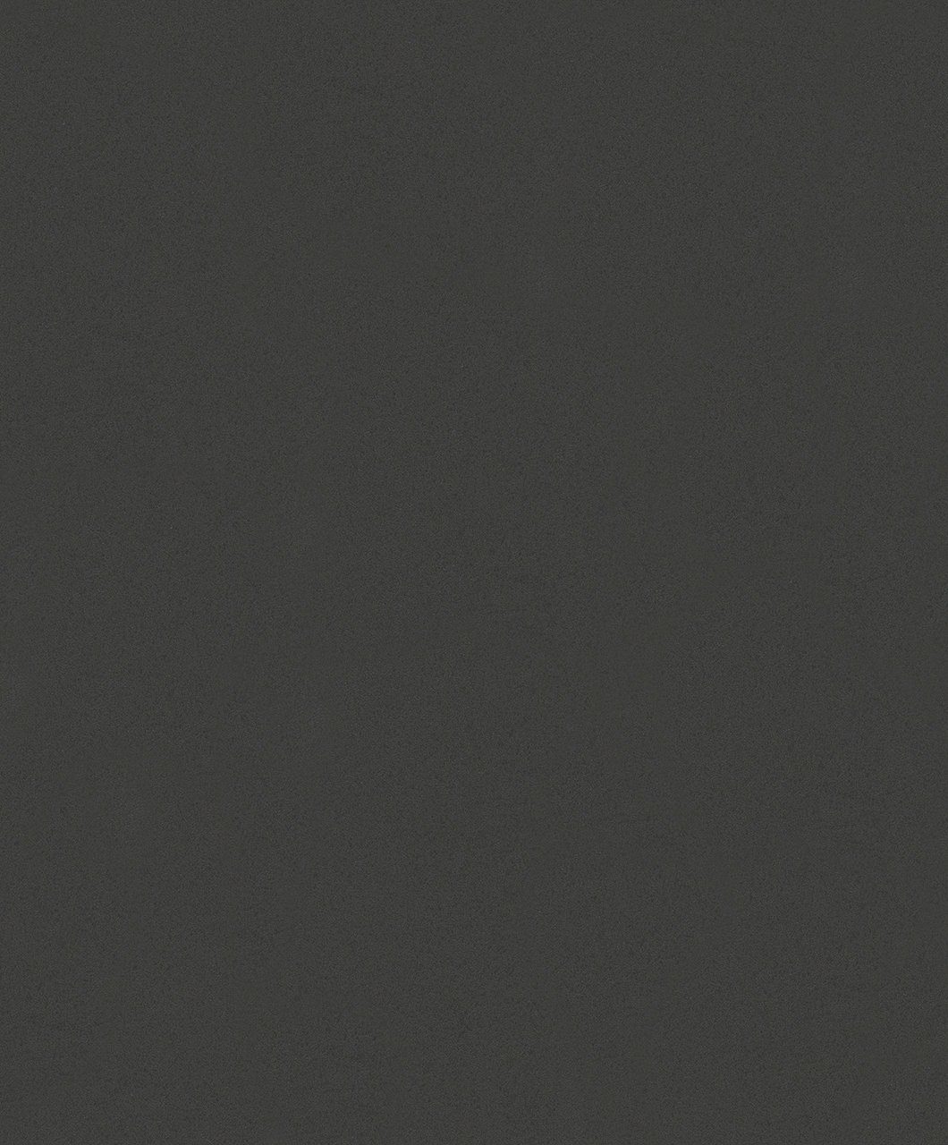 SCHÖNER WOHNEN-Kollektion Vliestapete, 0,53 schwarz x 10,05 Meter