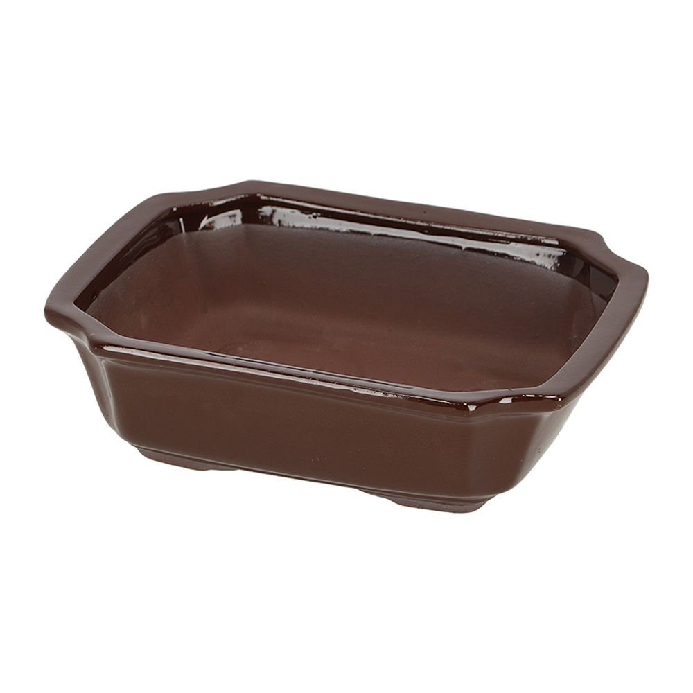 Rivanto Pflanzschale, Bonsai Schale rechteckig M günstig online kaufen