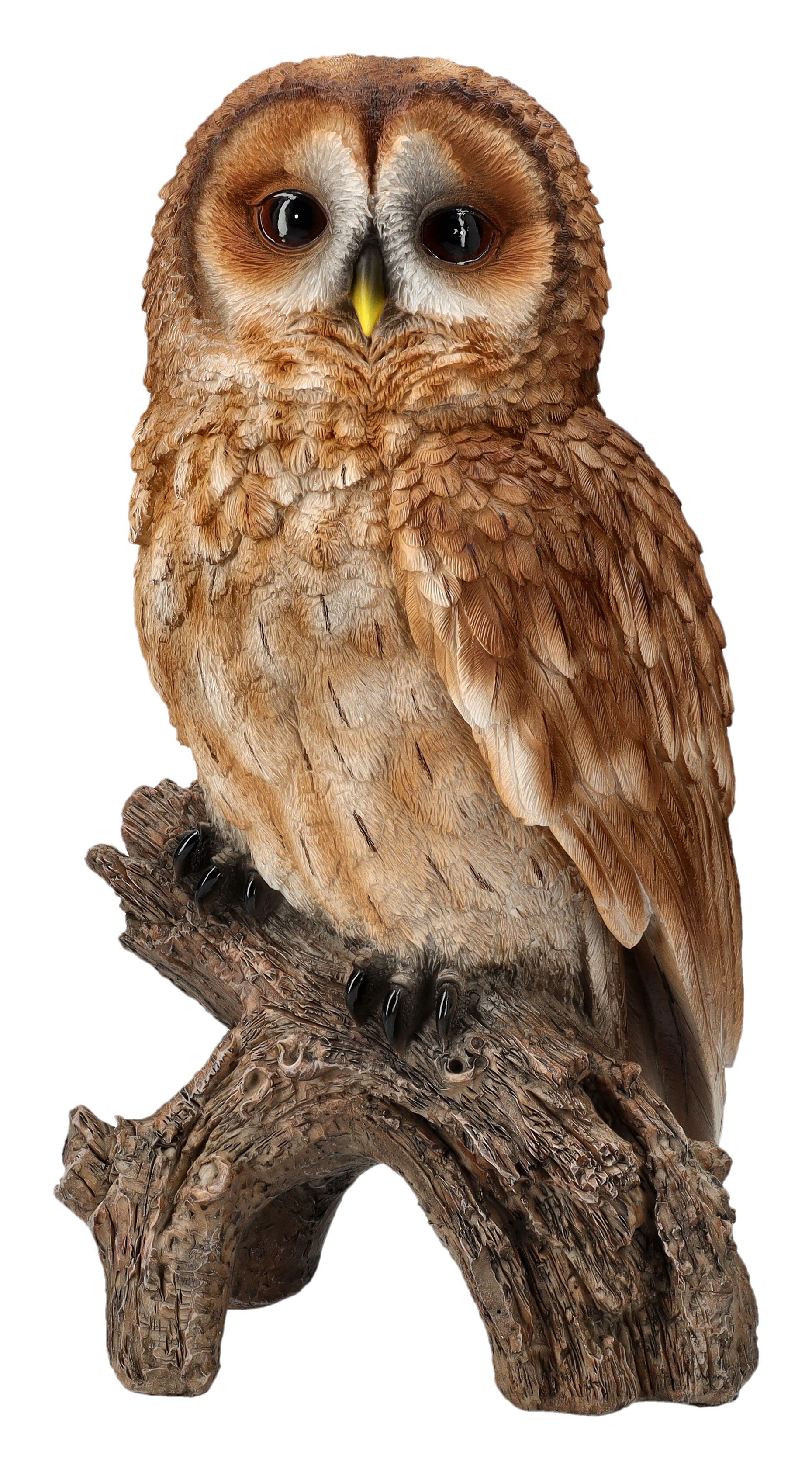 Figuren Shop GmbH Gartenfigur Gartenfigur Eule - Großer Waldkauz - HotAnt T günstig online kaufen