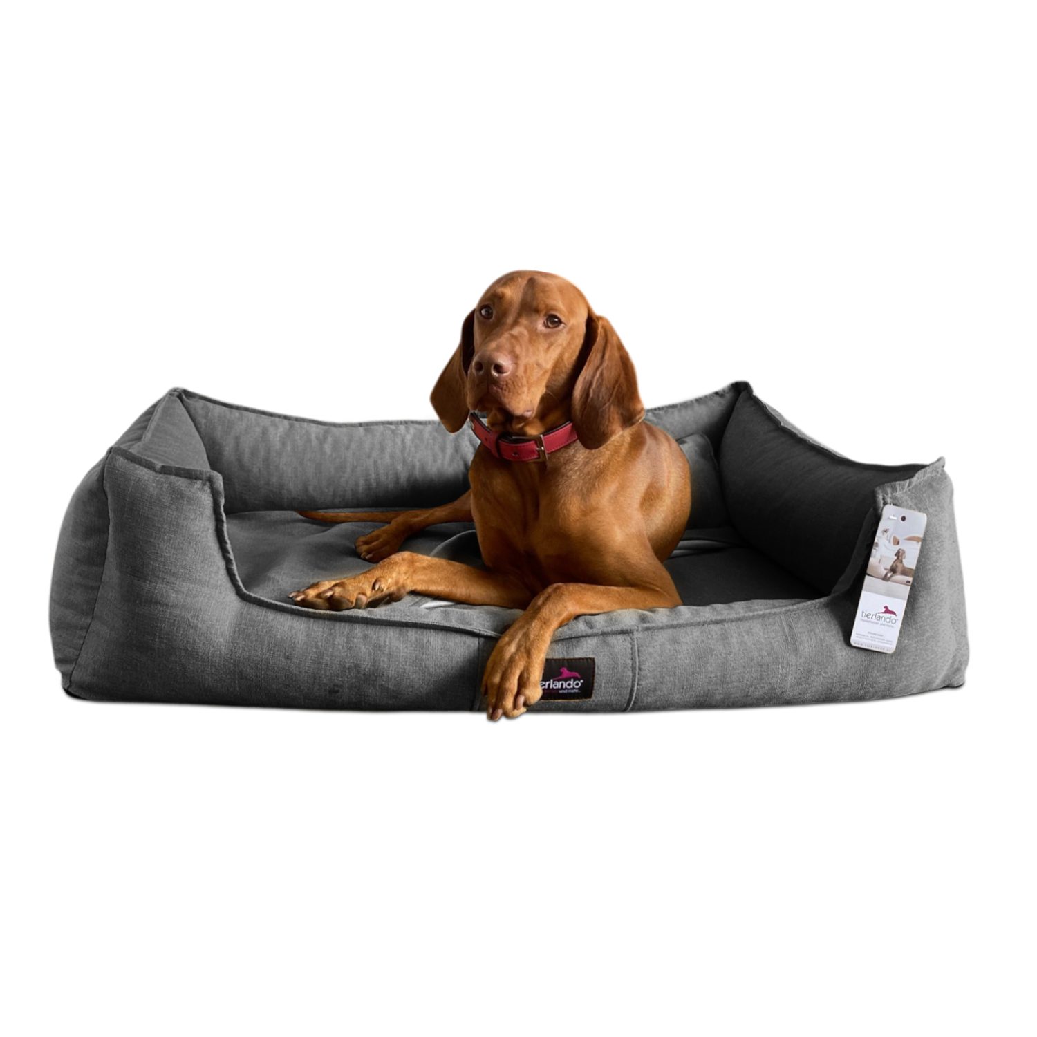 Tierbett Orthopädisches Hundebett SCARLETT - inklusive Matratzenschoner