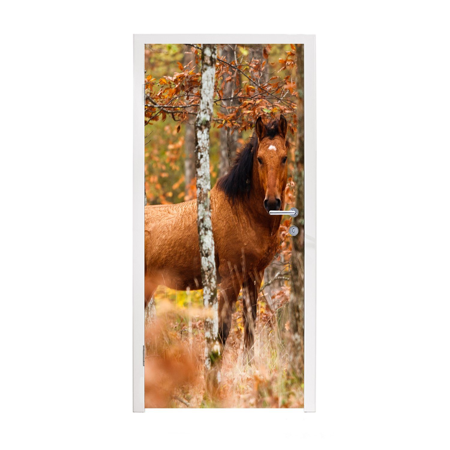 - (1 Matt, Pferd bedruckt, Türaufkleber, Türtapete Fototapete - für cm Braun, St), Tür, Wald MuchoWow 75x205