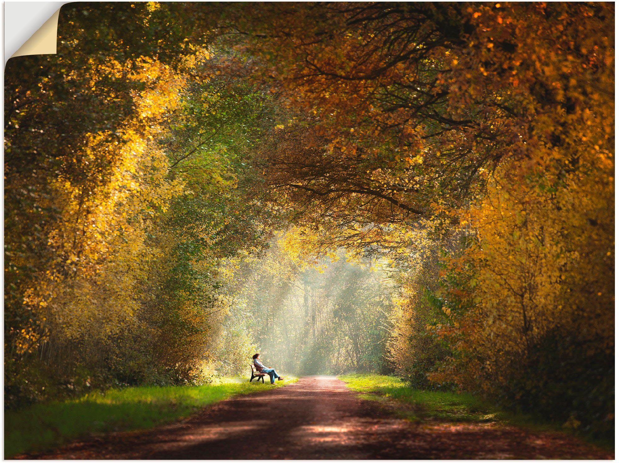 Größen Wald Ende am Wandaufkleber des versch. Wandbild Licht (1 in oder St), Artland Tunnels..., Leinwandbild, Poster als