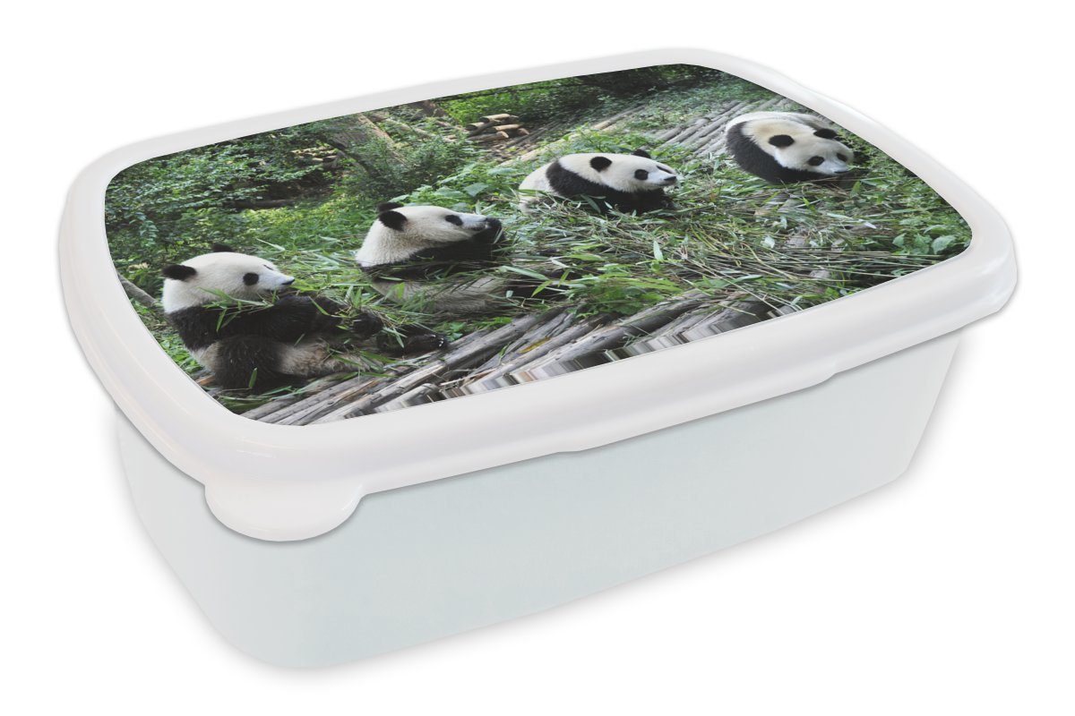 MuchoWow Lunchbox Panda - Natur - Bambus, Kunststoff, (2-tlg), Brotbox für Kinder und Erwachsene, Brotdose, für Jungs und Mädchen weiß