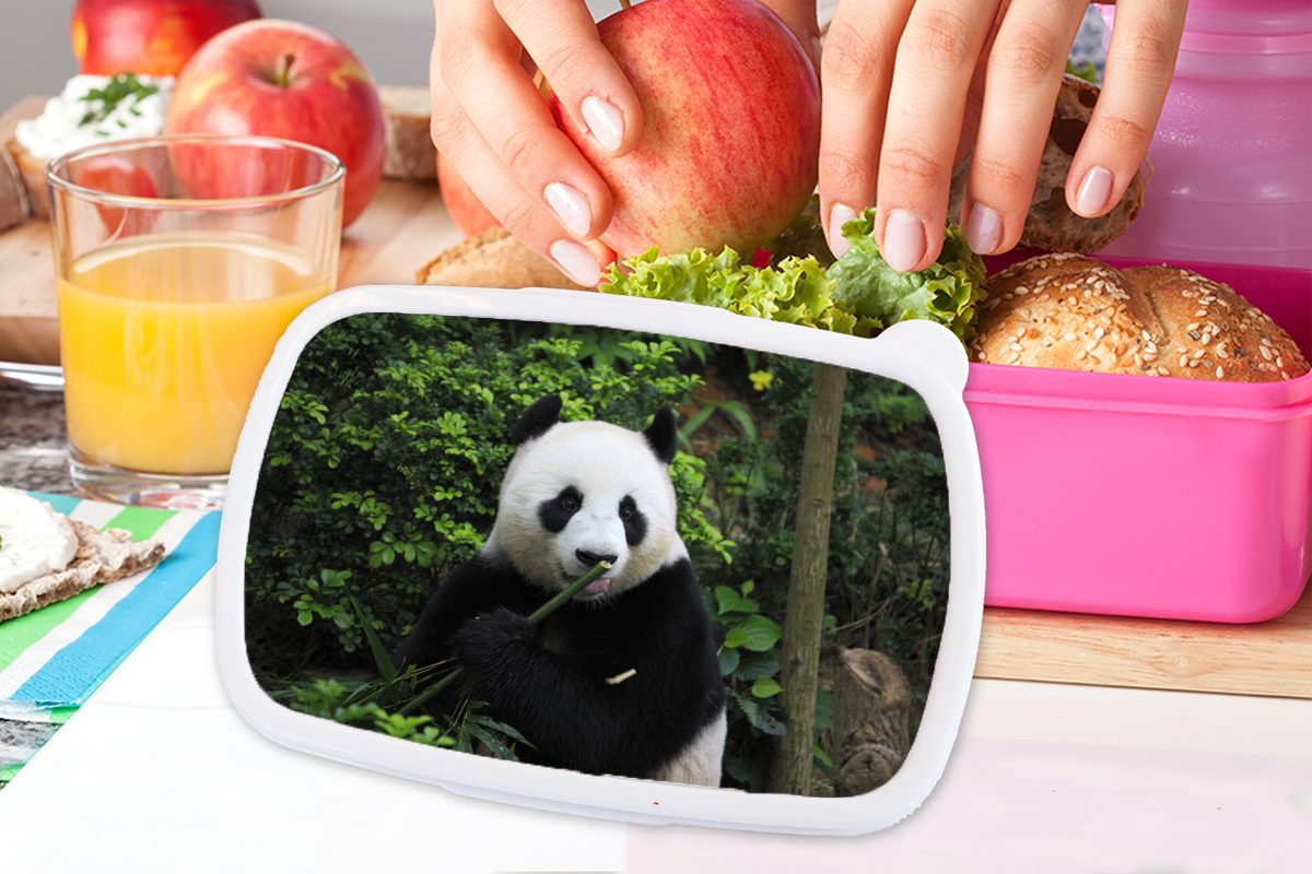 Kunststoff für Bambus Brotdose (2-tlg), MuchoWow - Kunststoff, rosa Brotbox - Wald, Erwachsene, Lunchbox Mädchen, Snackbox, Kinder, Panda