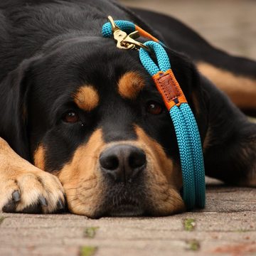 Hunter Tierbedarf Hunde-Halsband Halsband Oss petrol