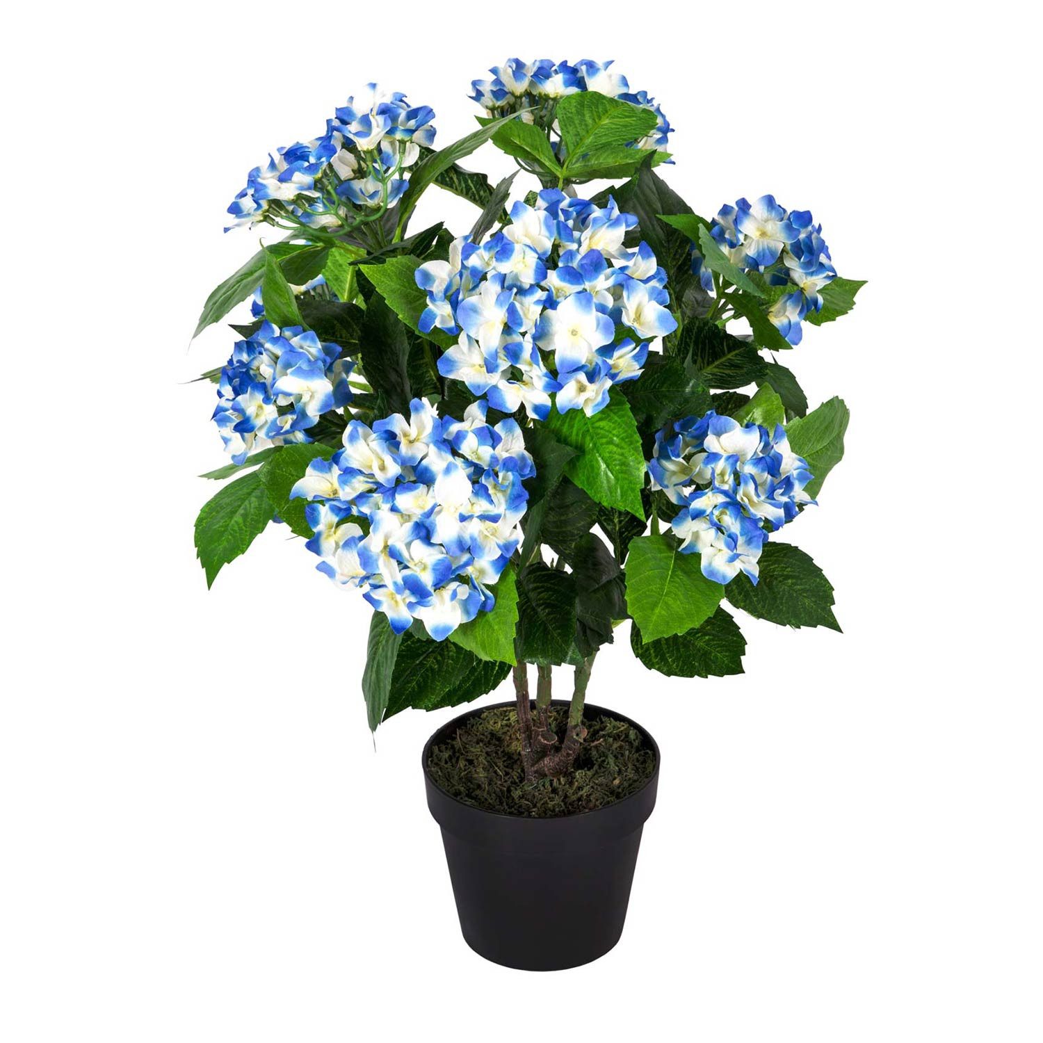 Kunstpflanze Kunstpflanze Blau 'Hortensie' im Topf, günstig online kaufen