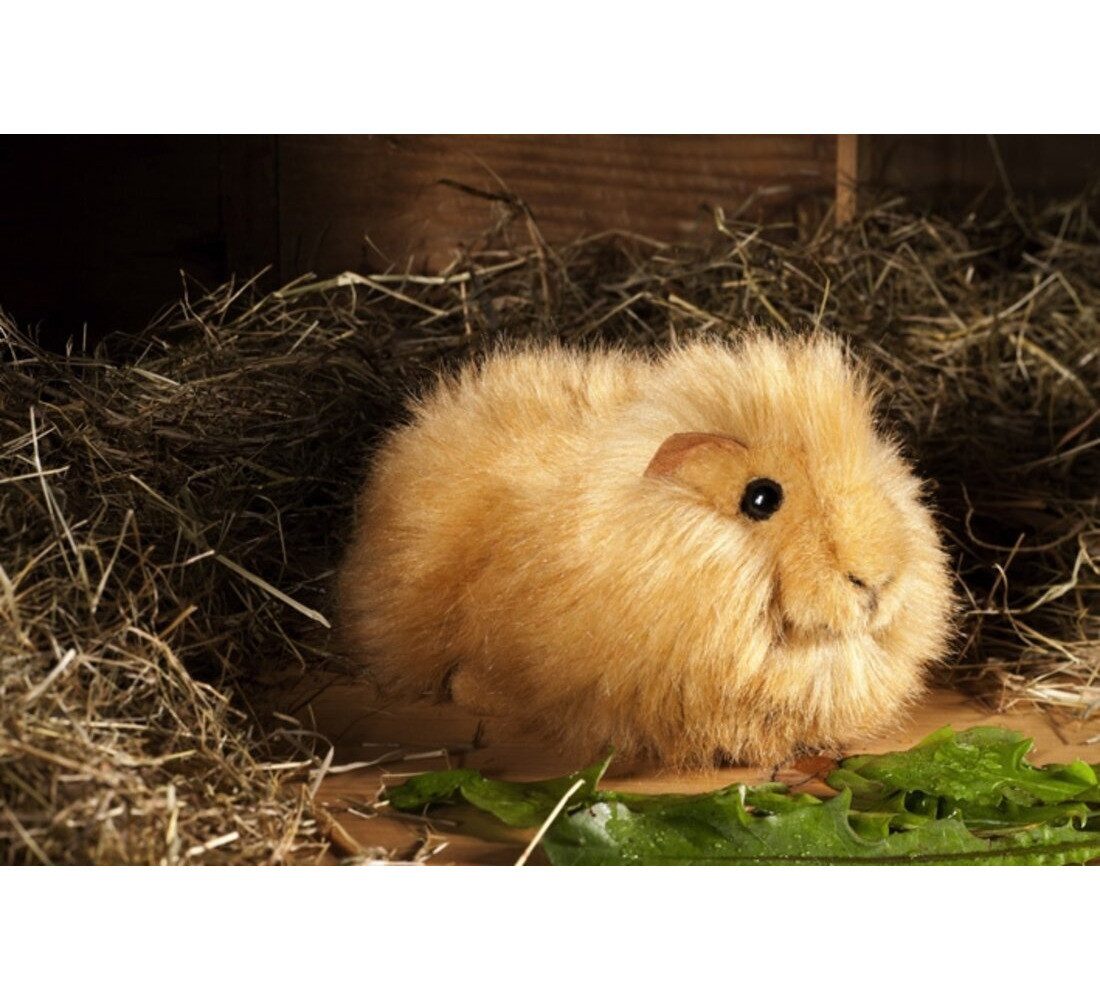 Kösen Kuscheltier Kösen Meerschweinchen hellbraun 18 cm Plüschtier
