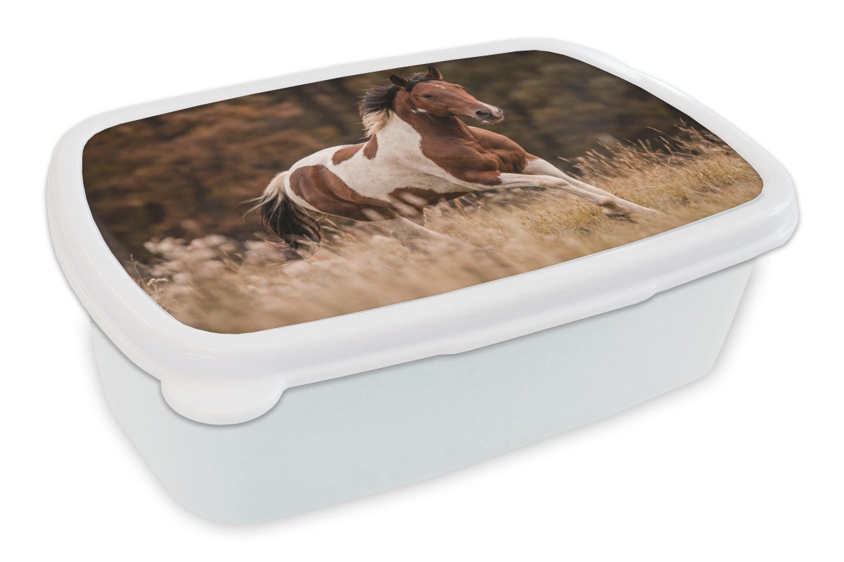 MuchoWow Lunchbox Pferd - Braun - Gras, Kunststoff, (2-tlg), Brotdose Schule oder Arbeit, Brotbox für Kinder und Erwachsene