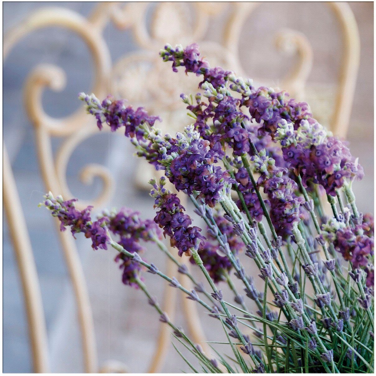 Art for the home Leinwandbild Outdoor Lovely 50x50cm, Blumen, Romantisch (1 St), Leinwand für draußen - Lavendel Harmonie - 50x50cm