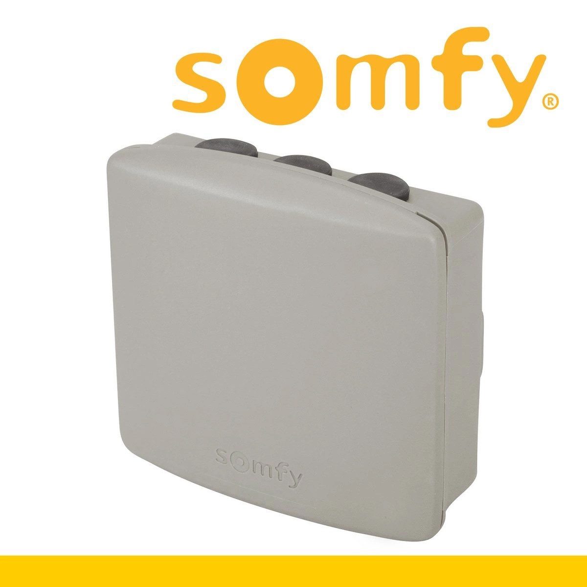 Somfy Drehtorantrieb Somfy Access Receiver iO Universal Funkempfänger, (1-tlg)