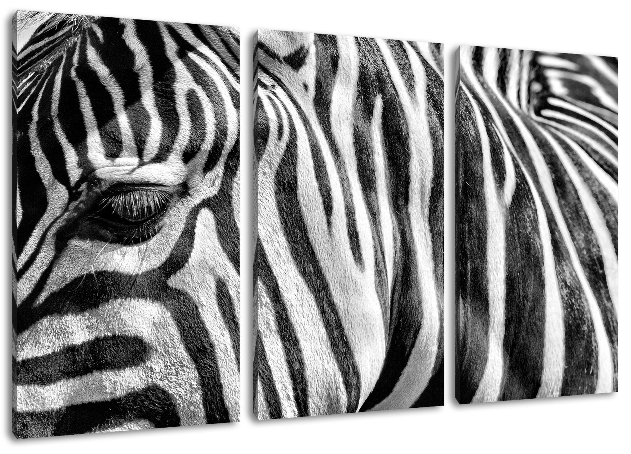 Pixxprint Leinwandbild Zebra Porträt, Zebra Porträt 3Teiler (120x80cm) (1 St), Leinwandbild fertig bespannt, inkl. Zackenaufhänger