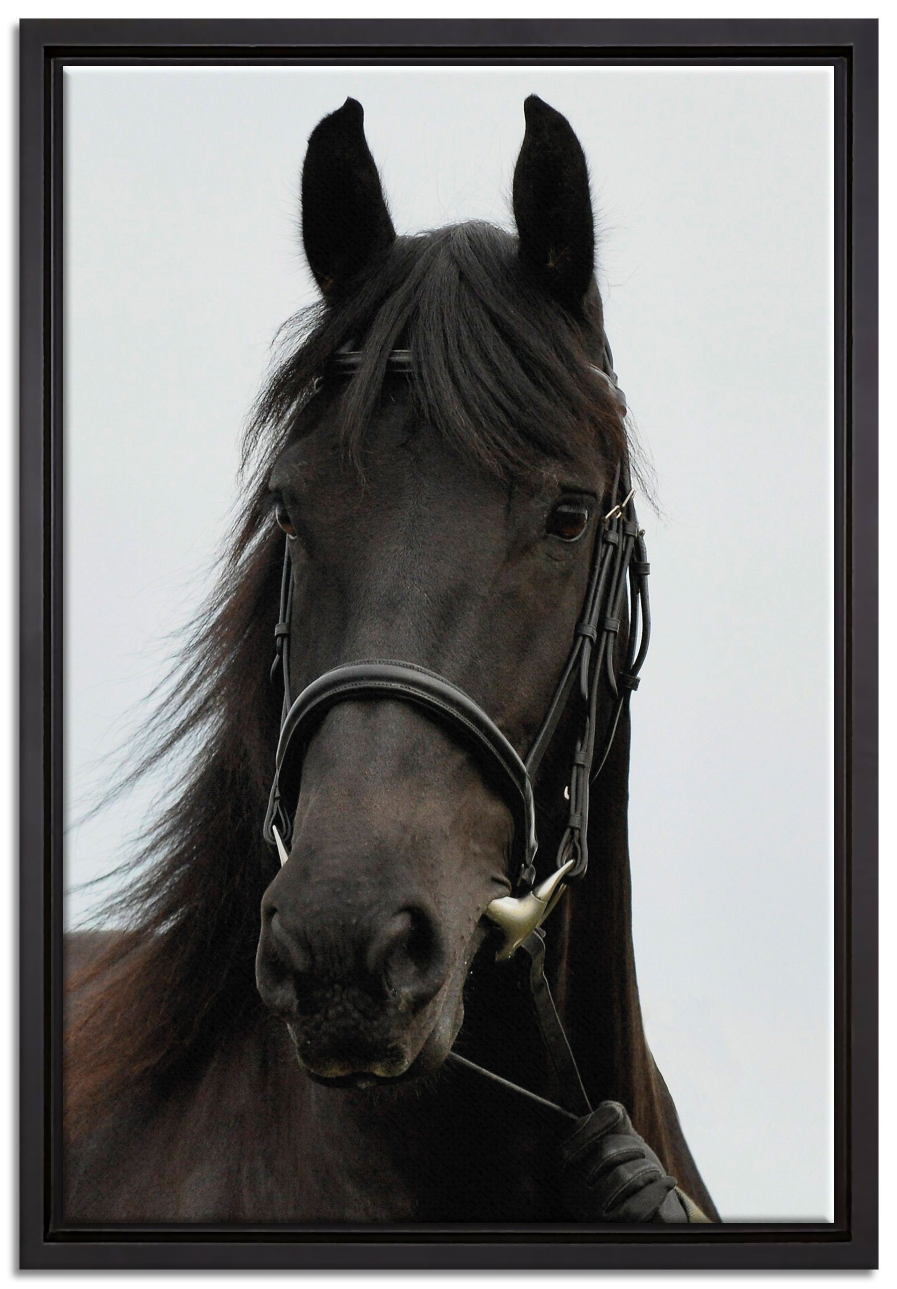 Pixxprint Leinwandbild braunes Pferd, Wanddekoration (1 St), Leinwandbild fertig bespannt, in einem Schattenfugen-Bilderrahmen gefasst, inkl. Zackenaufhänger