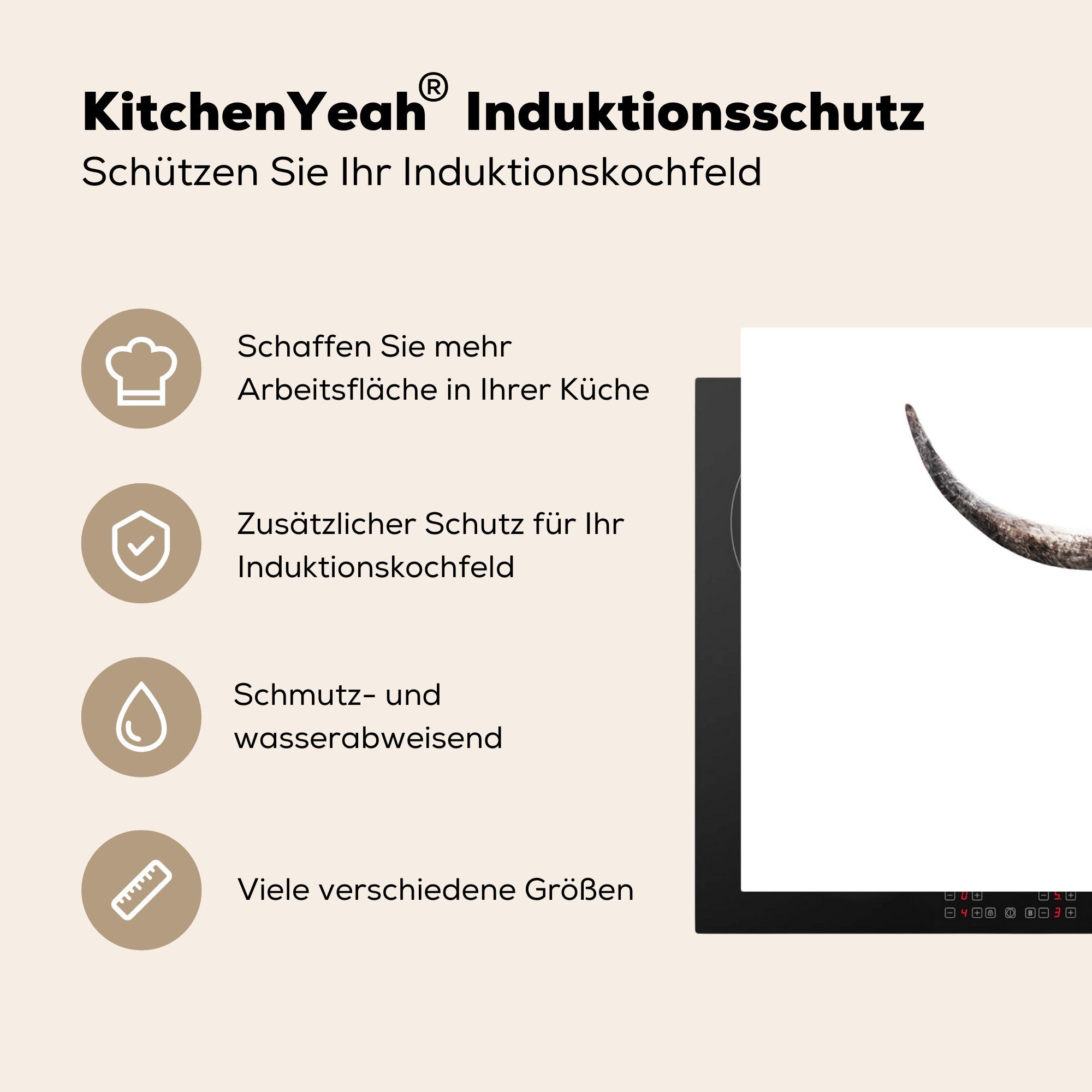 Hoorn, Herdblende-/Abdeckplatte die Ceranfeldabdeckung Schutz - (1 71x52 tlg), Vinyl, MuchoWow küche, - für Schottischer Highlander Induktionskochfeld cm, Kuh