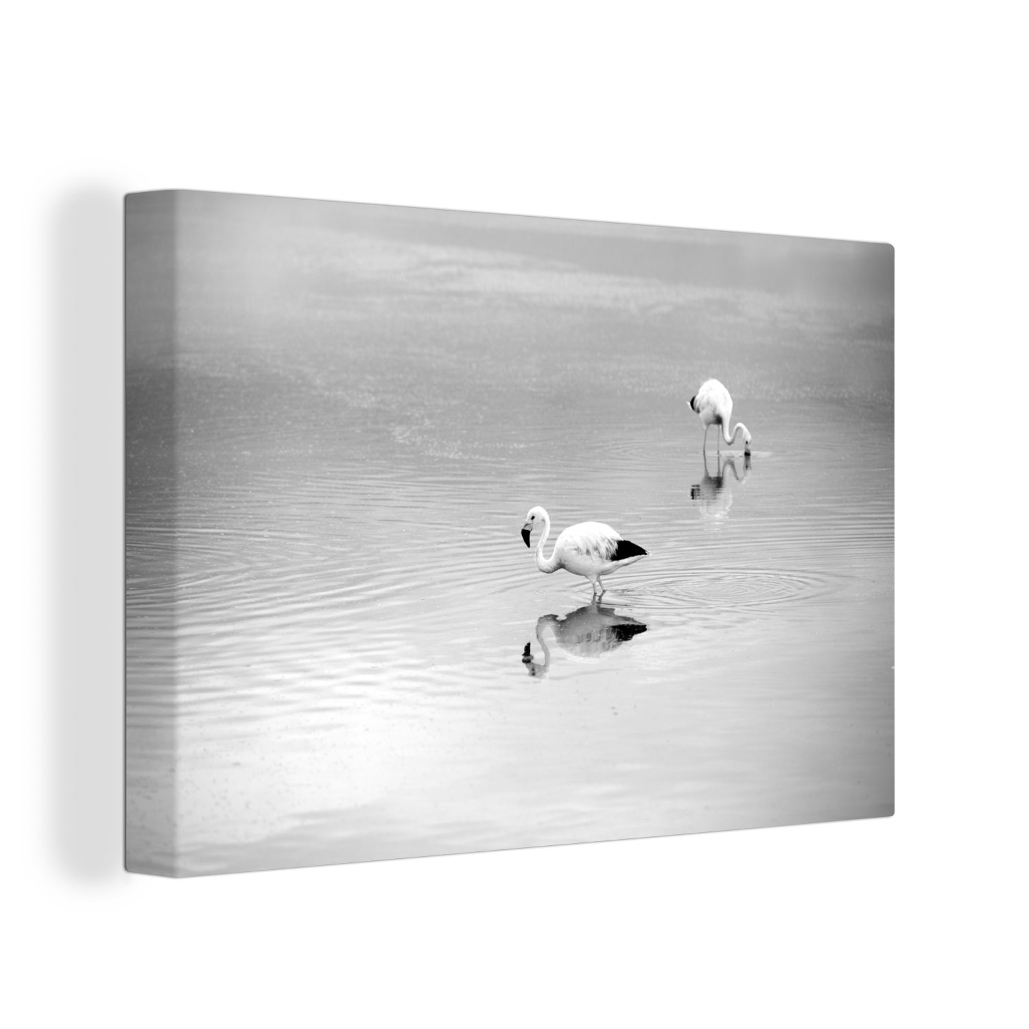OneMillionCanvasses® Leinwandbild Zwei chilenische Flamingos im klaren Wasser - schwarz und weiß, (1 St), Wandbild Leinwandbilder, Aufhängefertig, Wanddeko, 30x20 cm