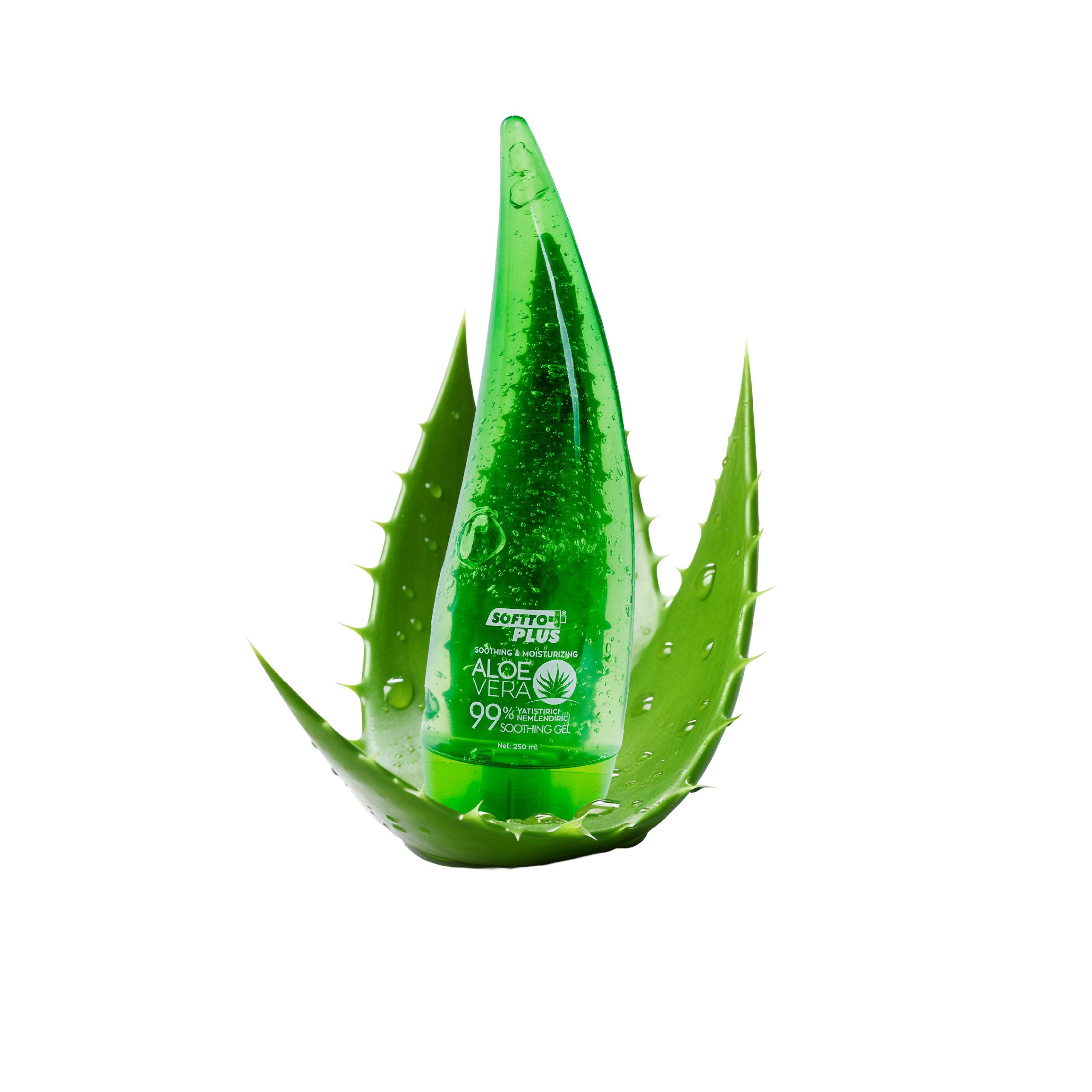 Softto Plus Feuchtigkeitsgel Aloe Vera Soothing Gel Beruhigendes & Feuchtigkeitsspendendes Gel