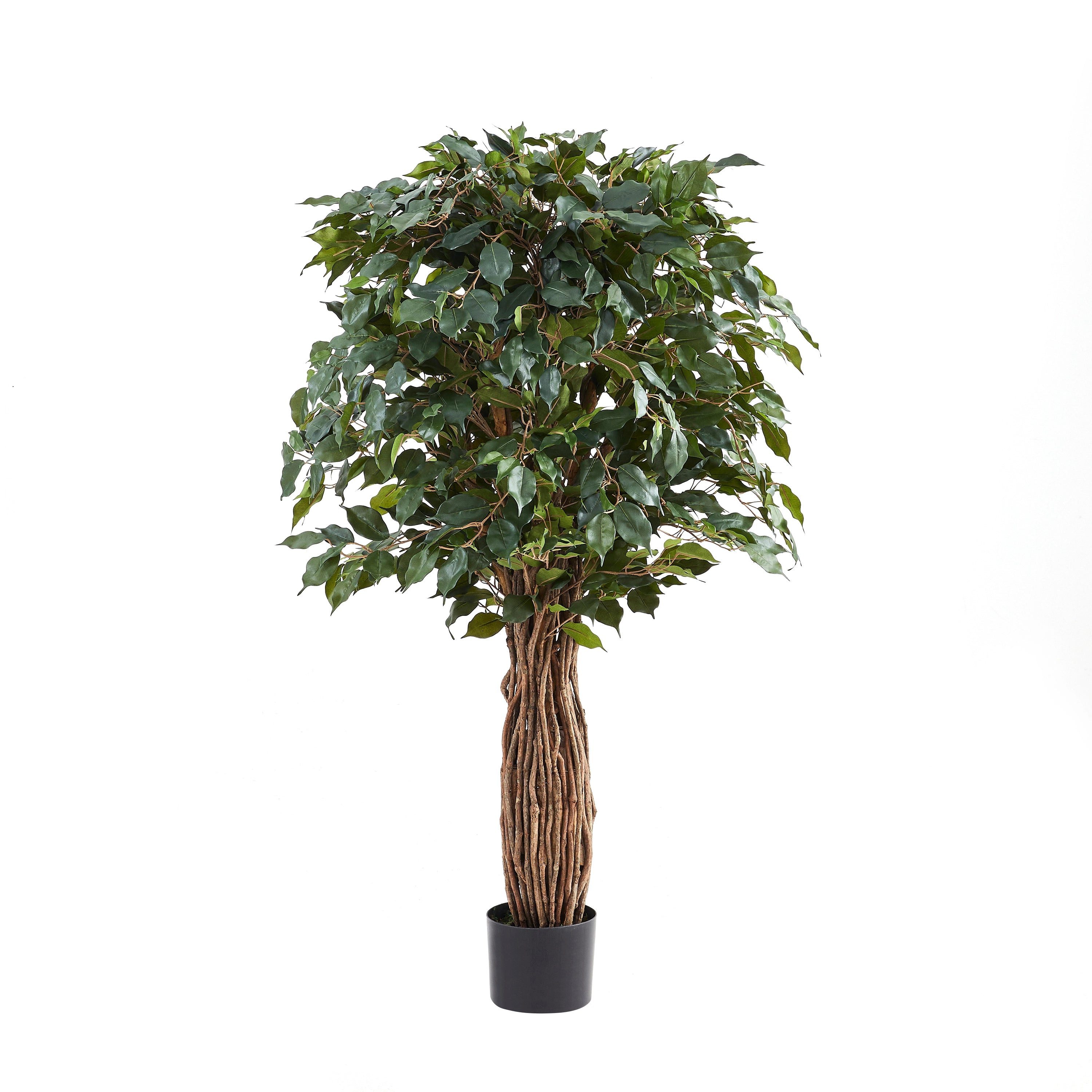 Kunstbaum Künstlicher Ficus – Amadior, 150 cm, aplanta