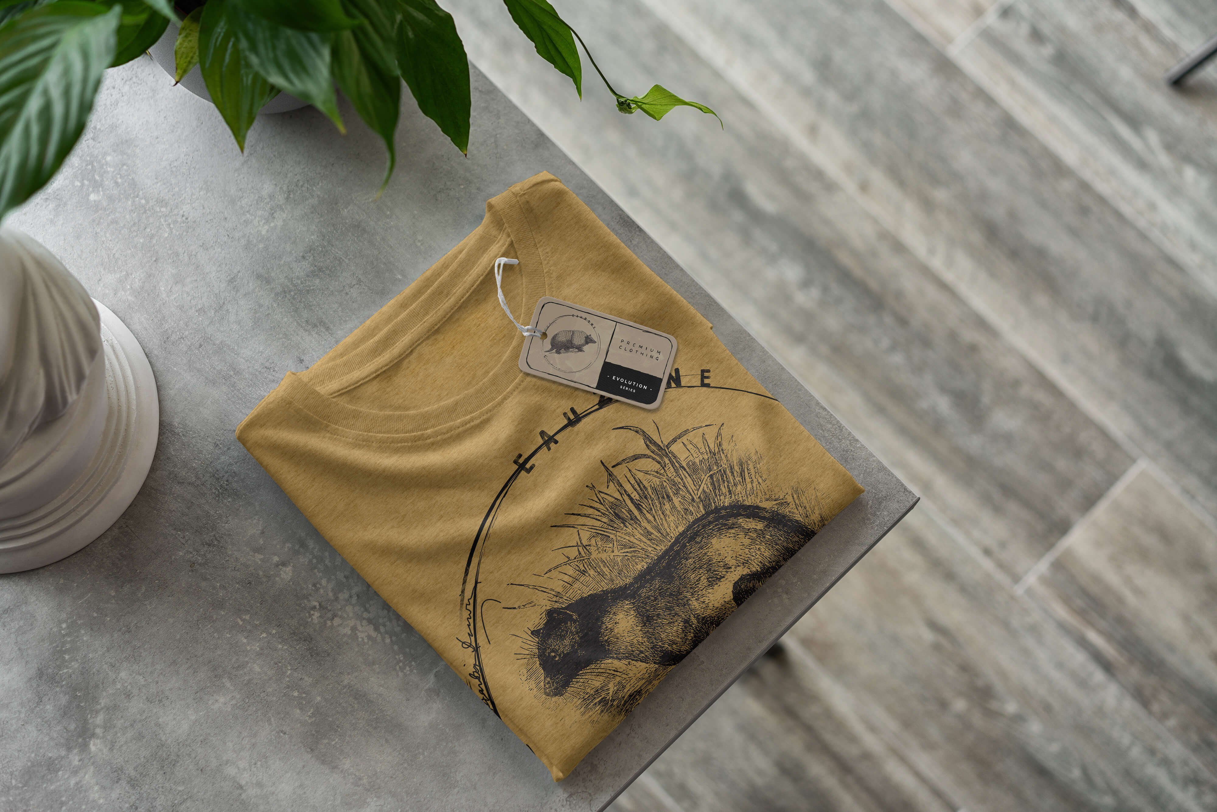 Sinus Art T-Shirt Evolution Herren Antique Arctogale Gold T-Shirt