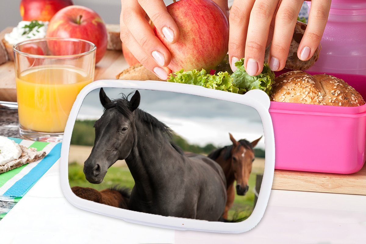 MuchoWow Lunchbox Pferde - Wiese (2-tlg), Erwachsene, Brotdose Schweden, für Snackbox, rosa Kunststoff, - Mädchen, Kunststoff Kinder, Brotbox
