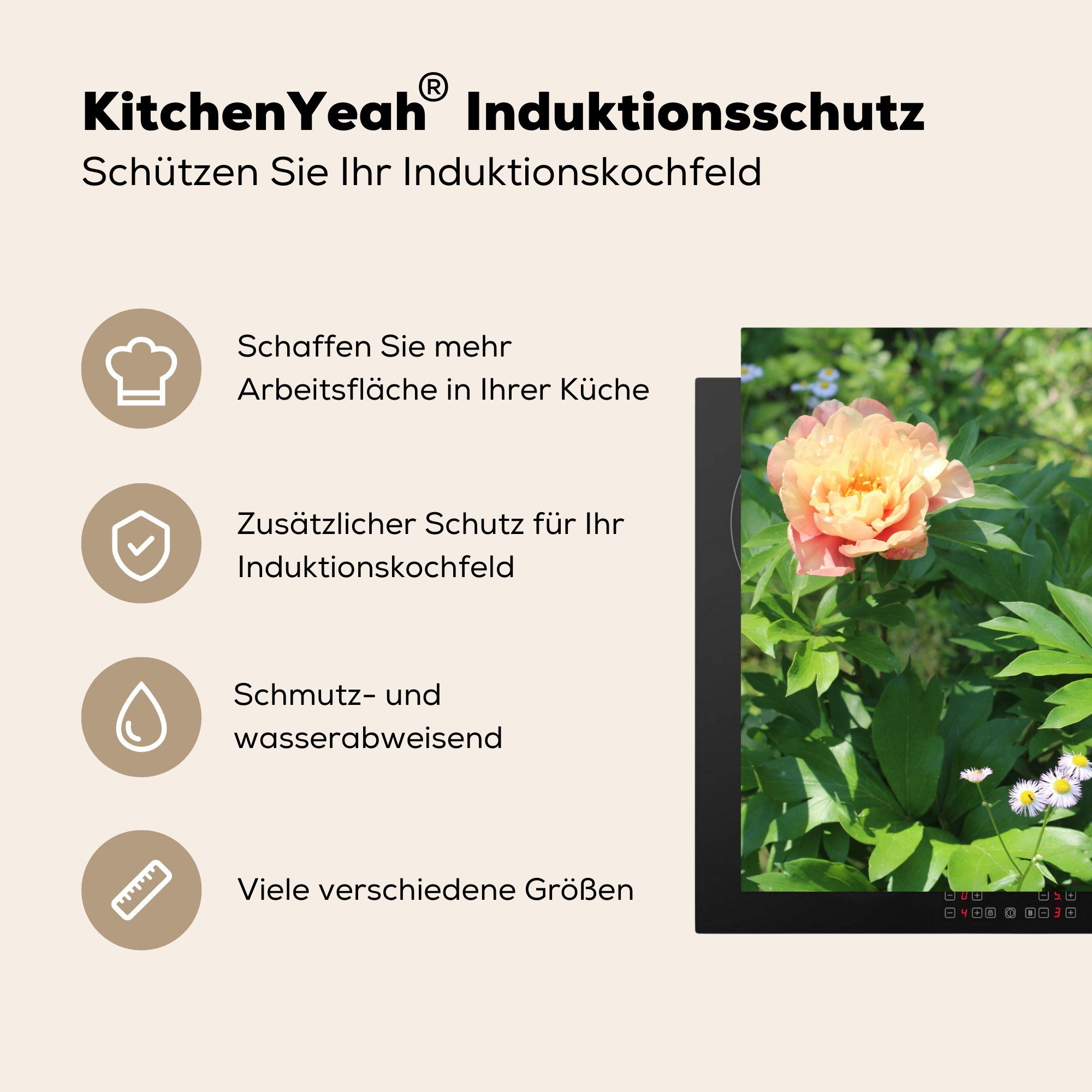 küche, Herdblende-/Abdeckplatte Vinyl, (1 Schutz Pfingstrosenblüte, die tlg), 81x52 cm, Ceranfeldabdeckung MuchoWow Induktionskochfeld für