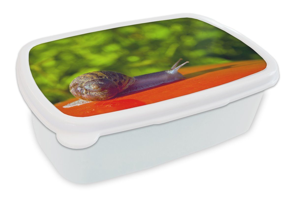 Jungs und und Brotdose, auf Lunchbox weiß (2-tlg), Mädchen Kunststoff, für Kinder Erwachsene, MuchoWow Schnecke Brotbox für rotem Hintergrund,