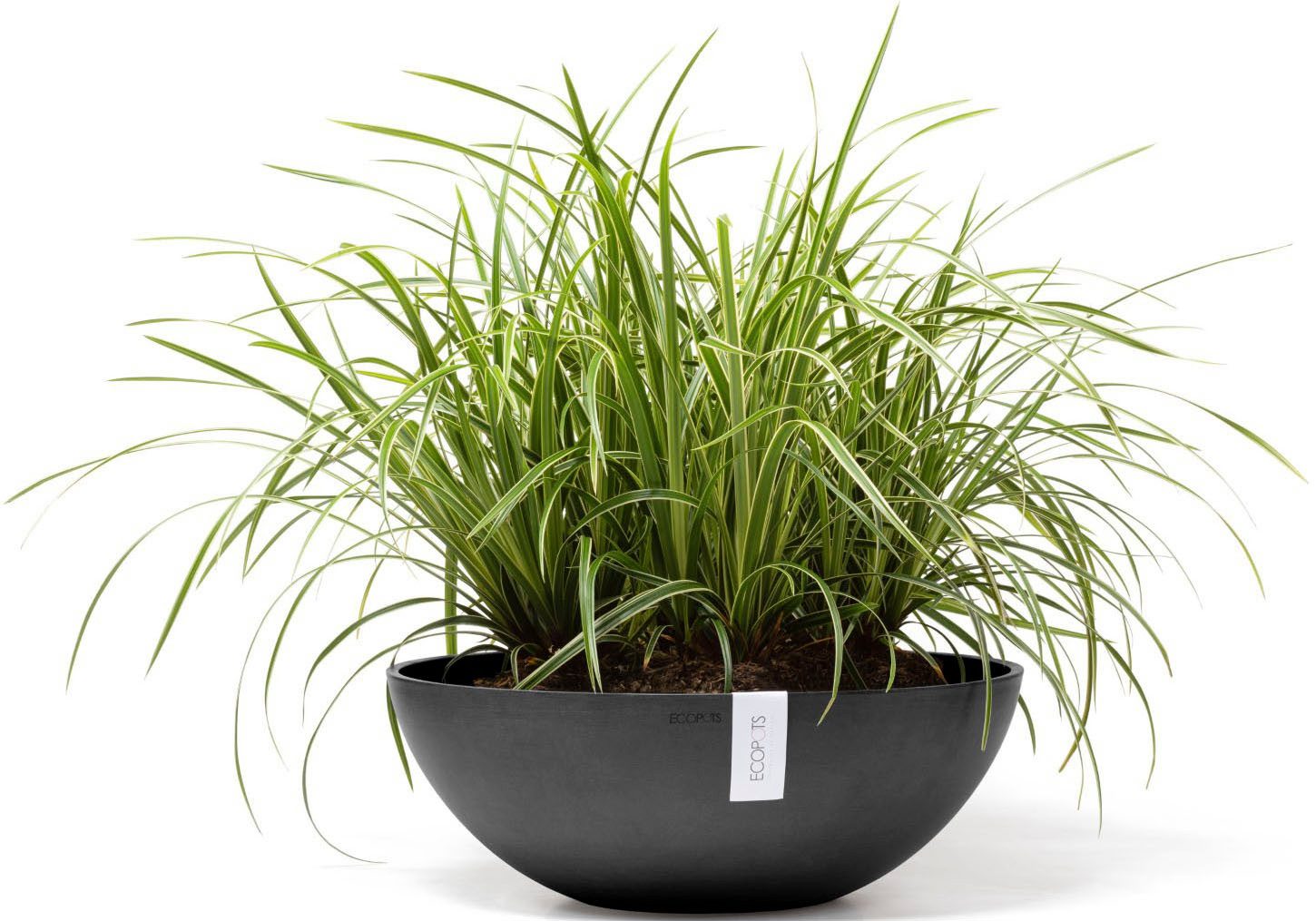 ECOPOTS Blumentopf Vienna 50 Dunkelgrau, für innen und außen: frostsicher, günstig online kaufen