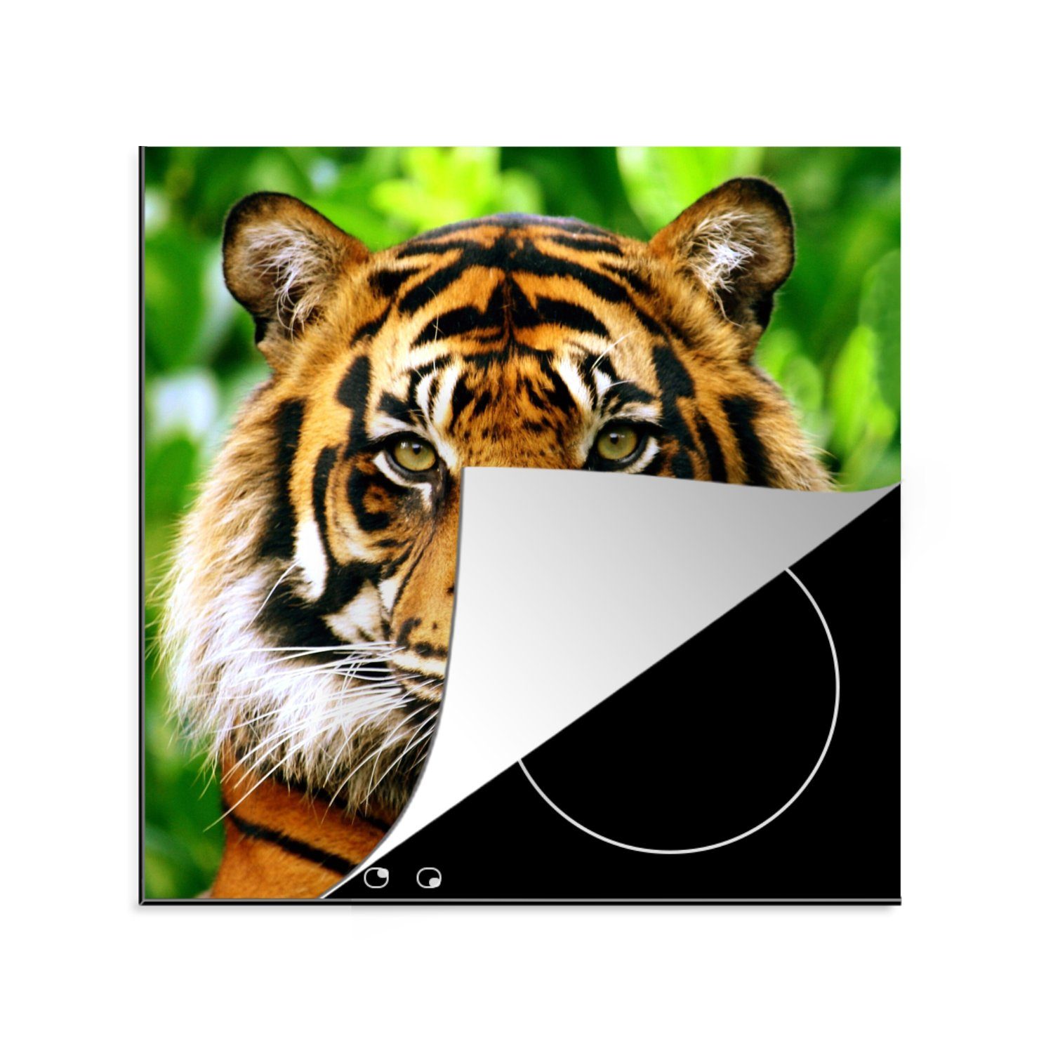 MuchoWow Herdblende-/Abdeckplatte Porträt eines Sumatra-Tigers im Dschungel, Vinyl, (1 tlg), 78x78 cm, Ceranfeldabdeckung, Arbeitsplatte für küche