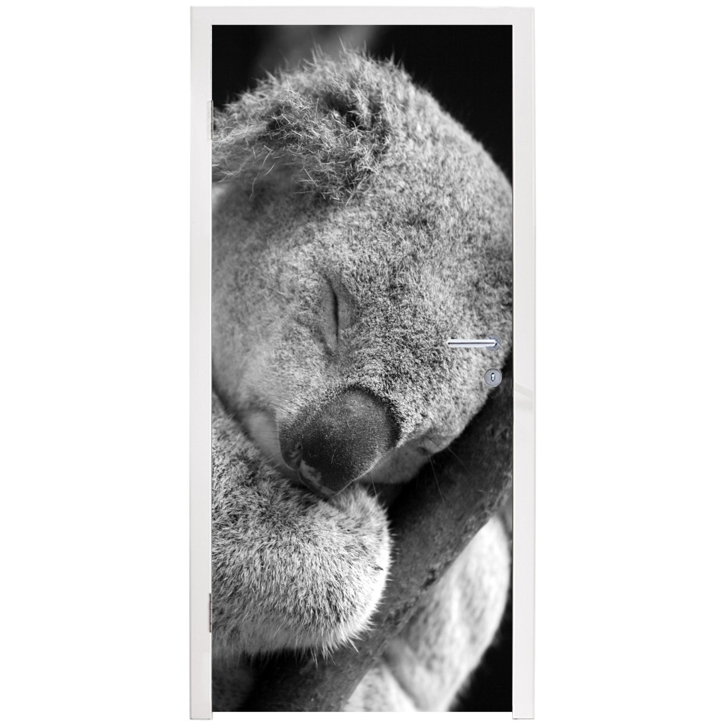 Schlafender auf schwarzem Tür, Türaufkleber, Fototapete St), (1 bedruckt, Hintergrund, für MuchoWow Koala Türtapete Matt, 75x205 cm
