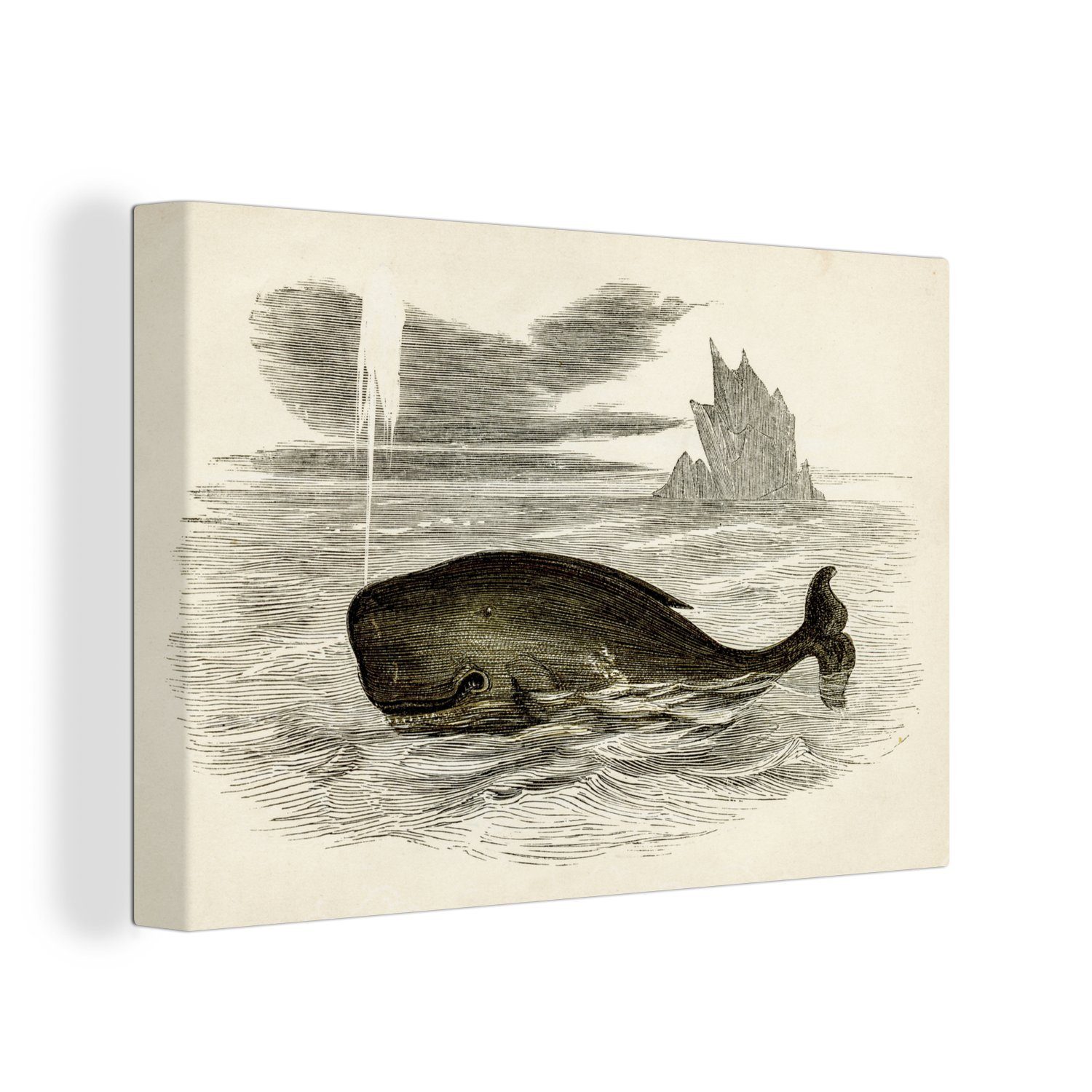 OneMillionCanvasses® Leinwandbild Eine antike Illustration eines Wals, (1 St), Wandbild Leinwandbilder, Aufhängefertig, Wanddeko, 30x20 cm