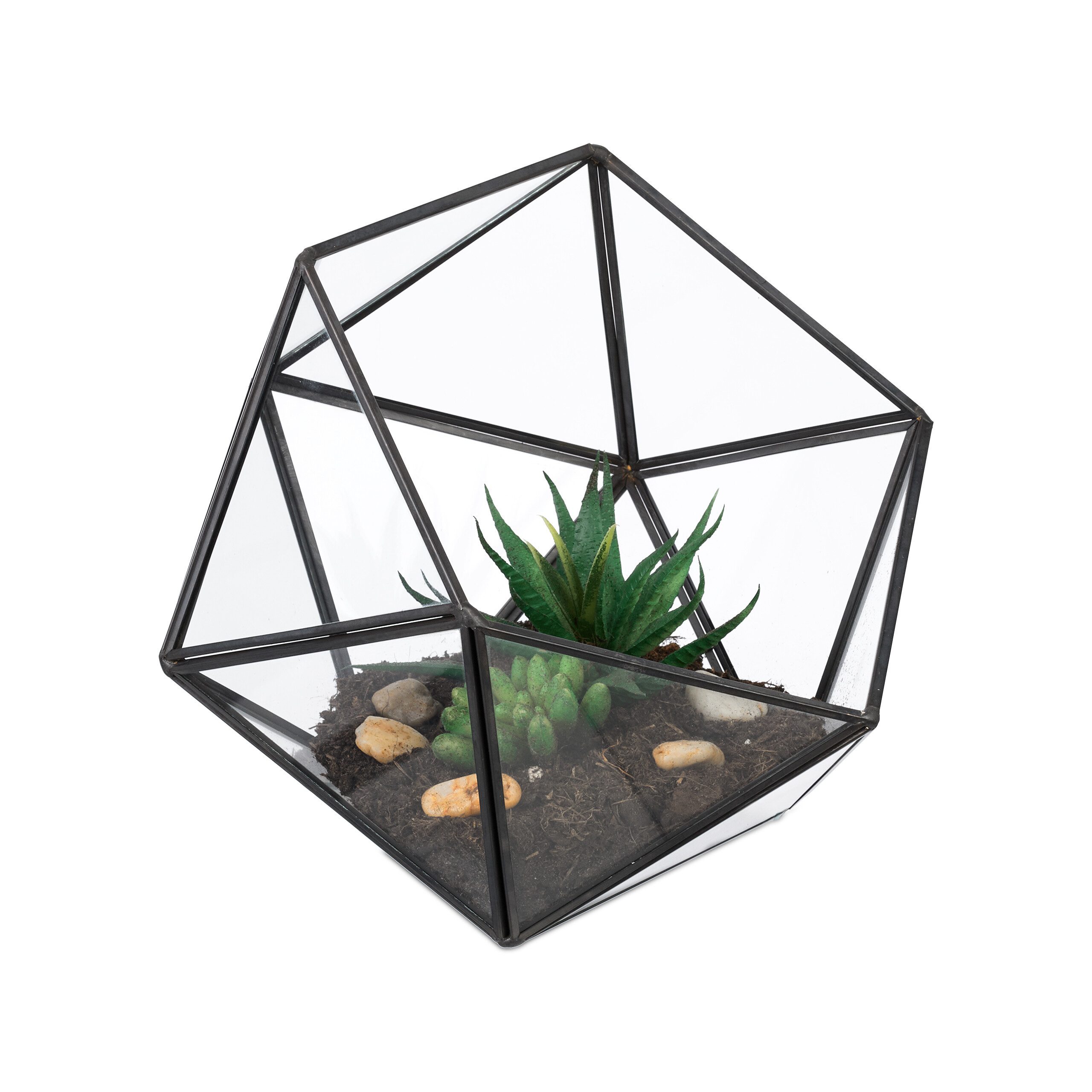 relaxdays Dekovase Geometrisches Pflanzenterrarium aus Glas (1 St), schwarz günstig online kaufen