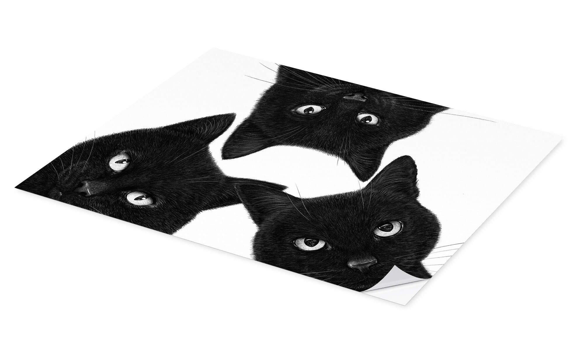 Posterlounge Wandbild Drei schwarze Katzen im Kreis, Valeriya Korenkova, erhältlich als Poster, Leinwandbild, Wandsticker oder Acrylglasbild