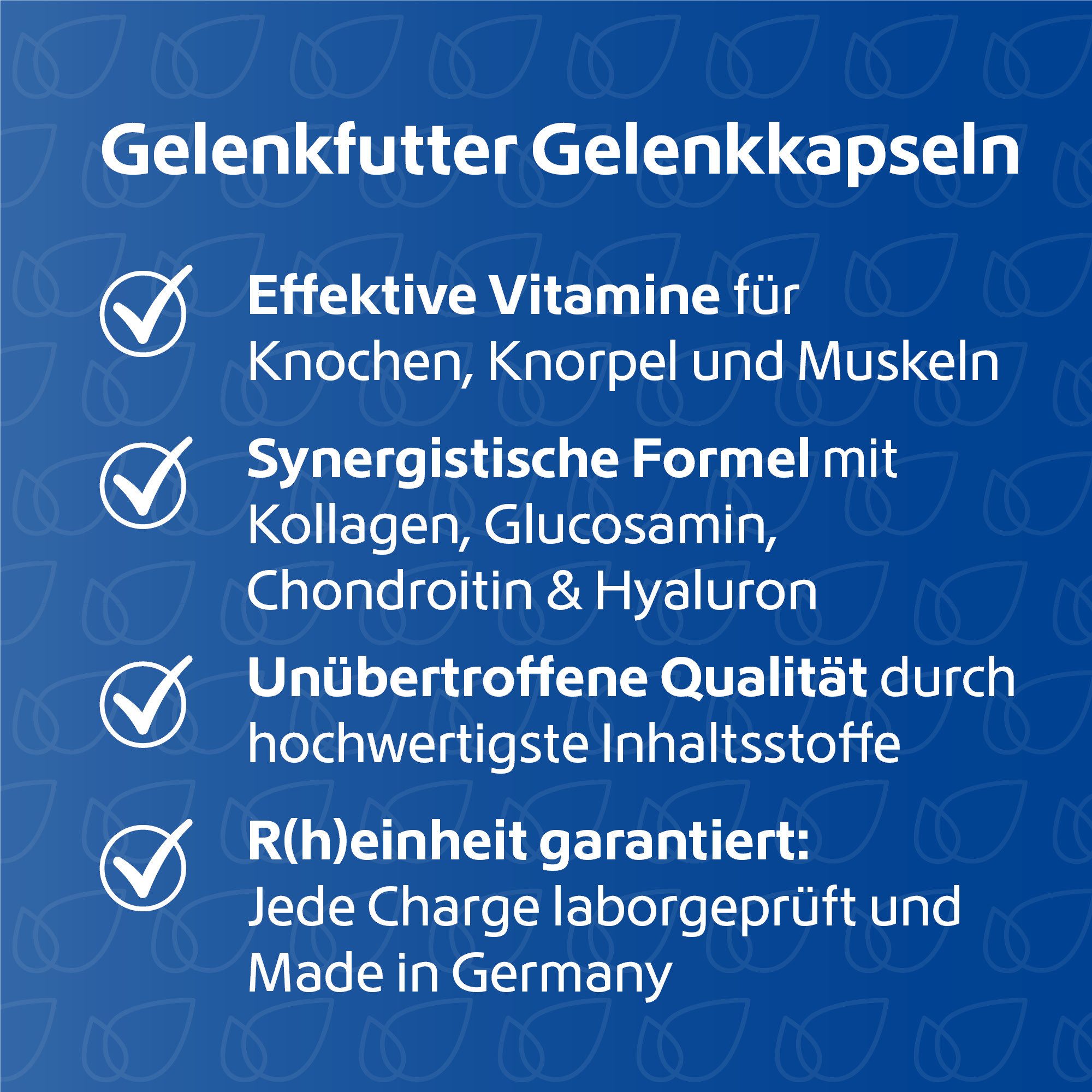 R(h)ein Nutrition Gelenkfutter Gelenkkapseln Kapseln, 240 St., 129.9 g