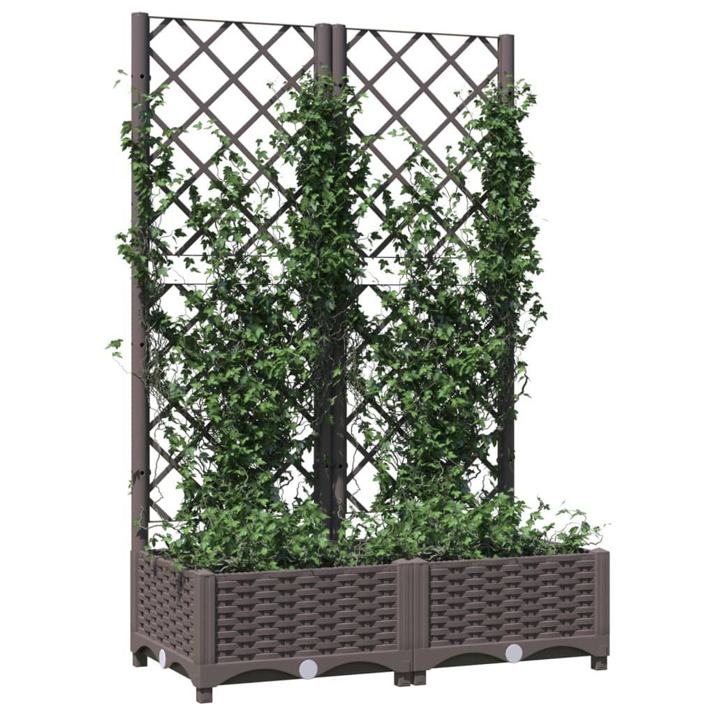vidaXL Rankgitter 80 x 40 x 1215 cm Pflanzkübel mit Rankgitter Braun 80x40x121,5 cm Kuns