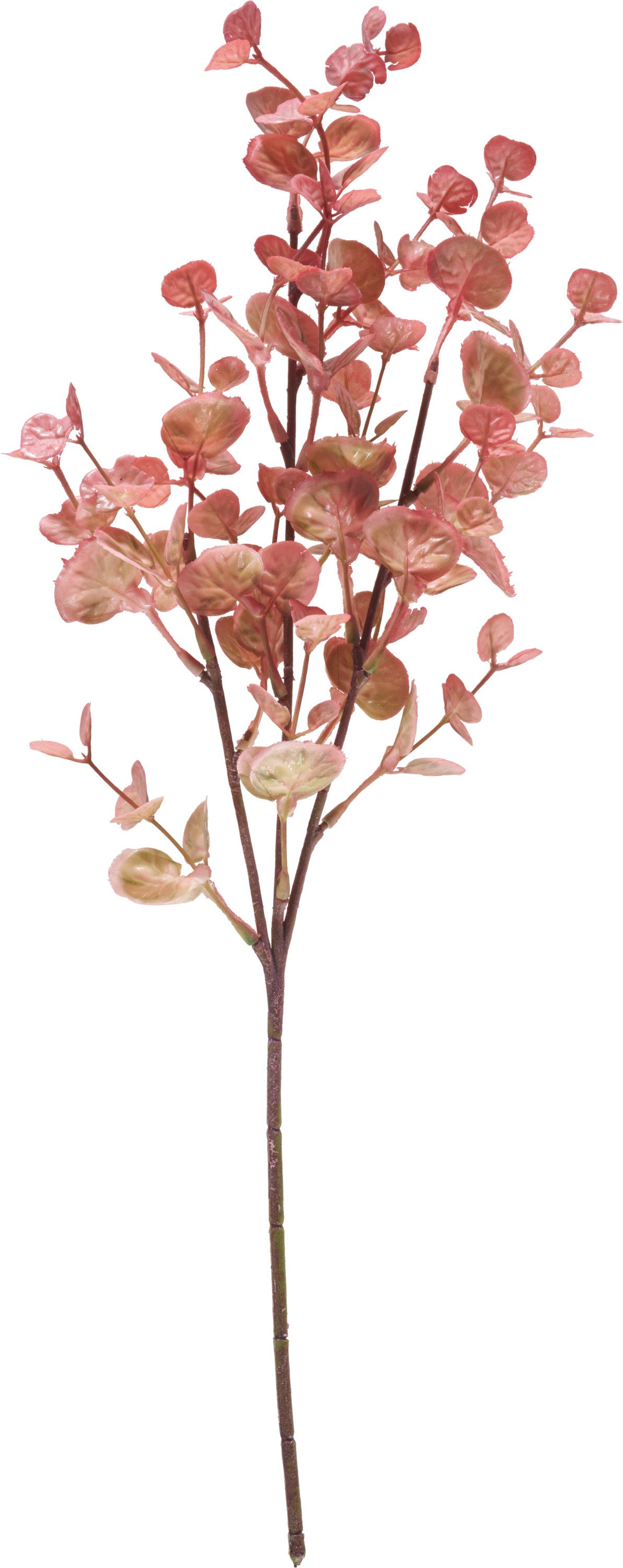 Kunstzweig Eukalyptus Zweig Marissa, DPI, 48 cm