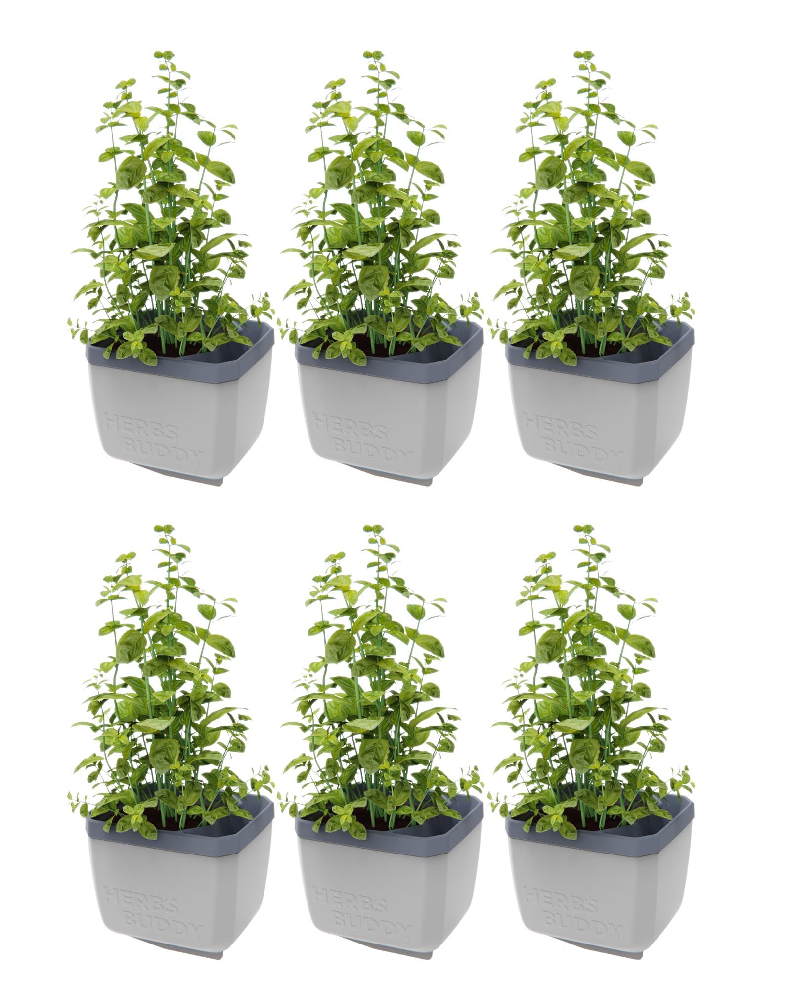 Gusta Garden Kräutertopf KRÄUTERFREUND (6er Set, günstig online kaufen