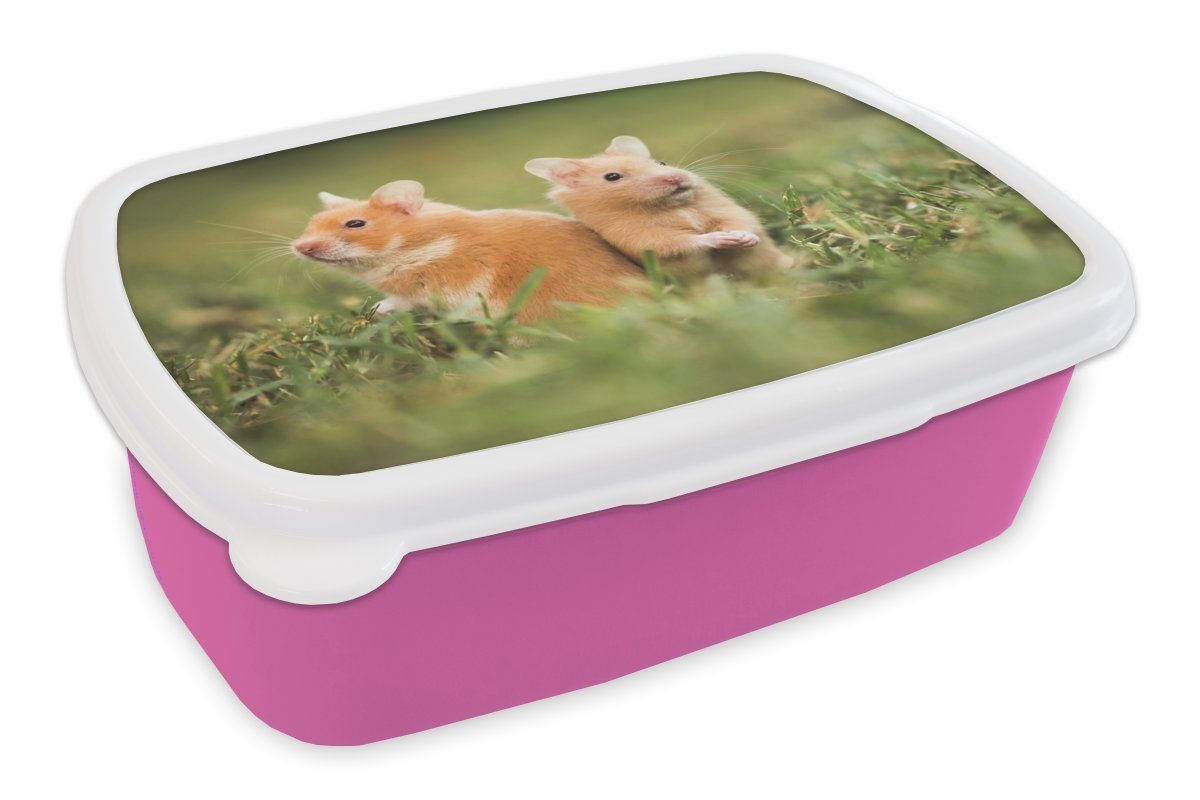 Brotdose Kinder, Kunststoff, rosa Mädchen, für Goldhamster, Brotbox Snackbox, (2-tlg), Erwachsene, Kunststoff MuchoWow Lunchbox