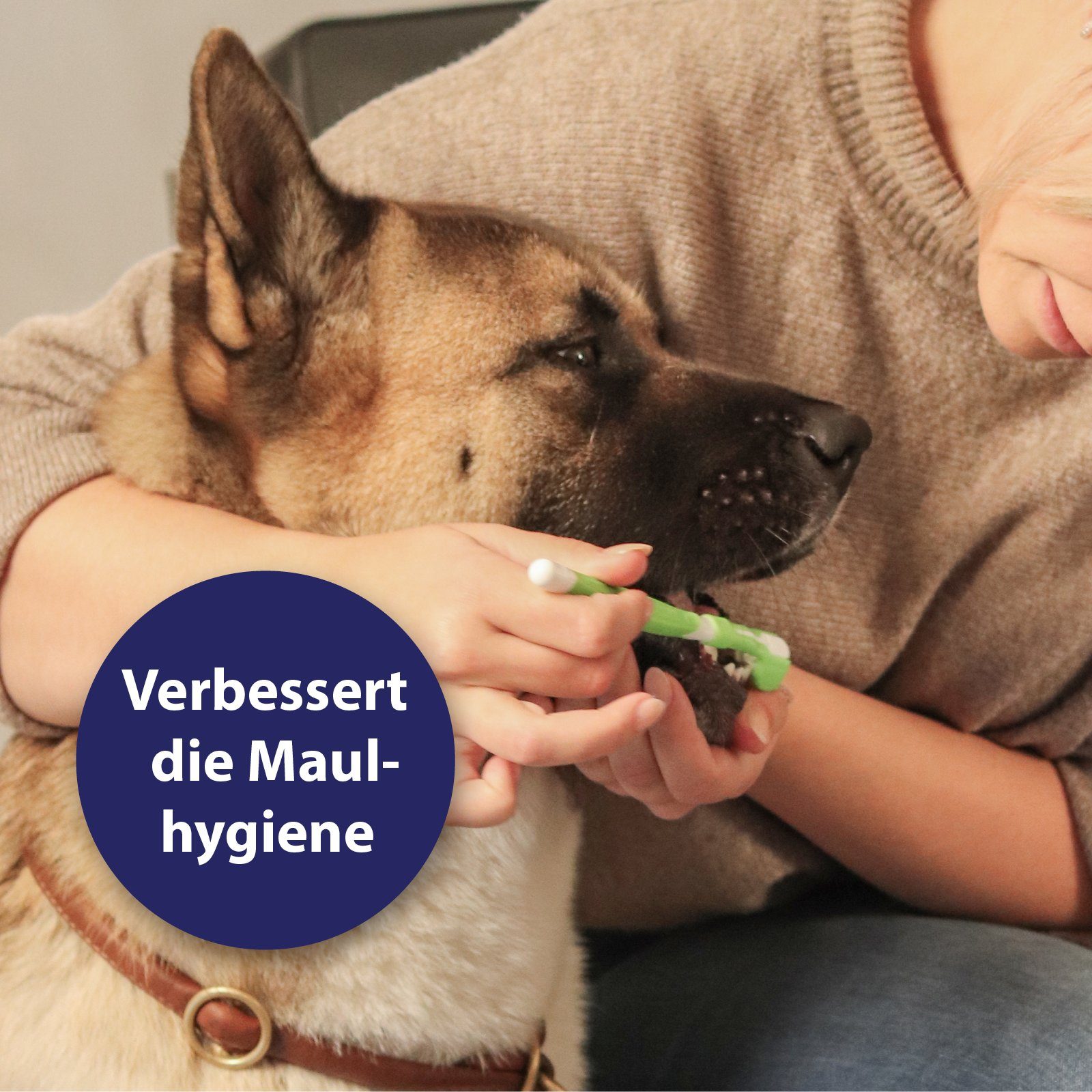 Canosept Fellpflege Canosept Zahnpflege-Set Hunde
