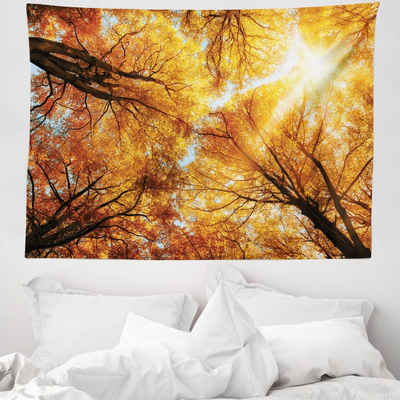 Wandteppich aus Weiches Mikrofaser Stoff Für das Wohn und Schlafzimmer, Abakuhaus, rechteckig, Baum Autumn Sunbeams Wald