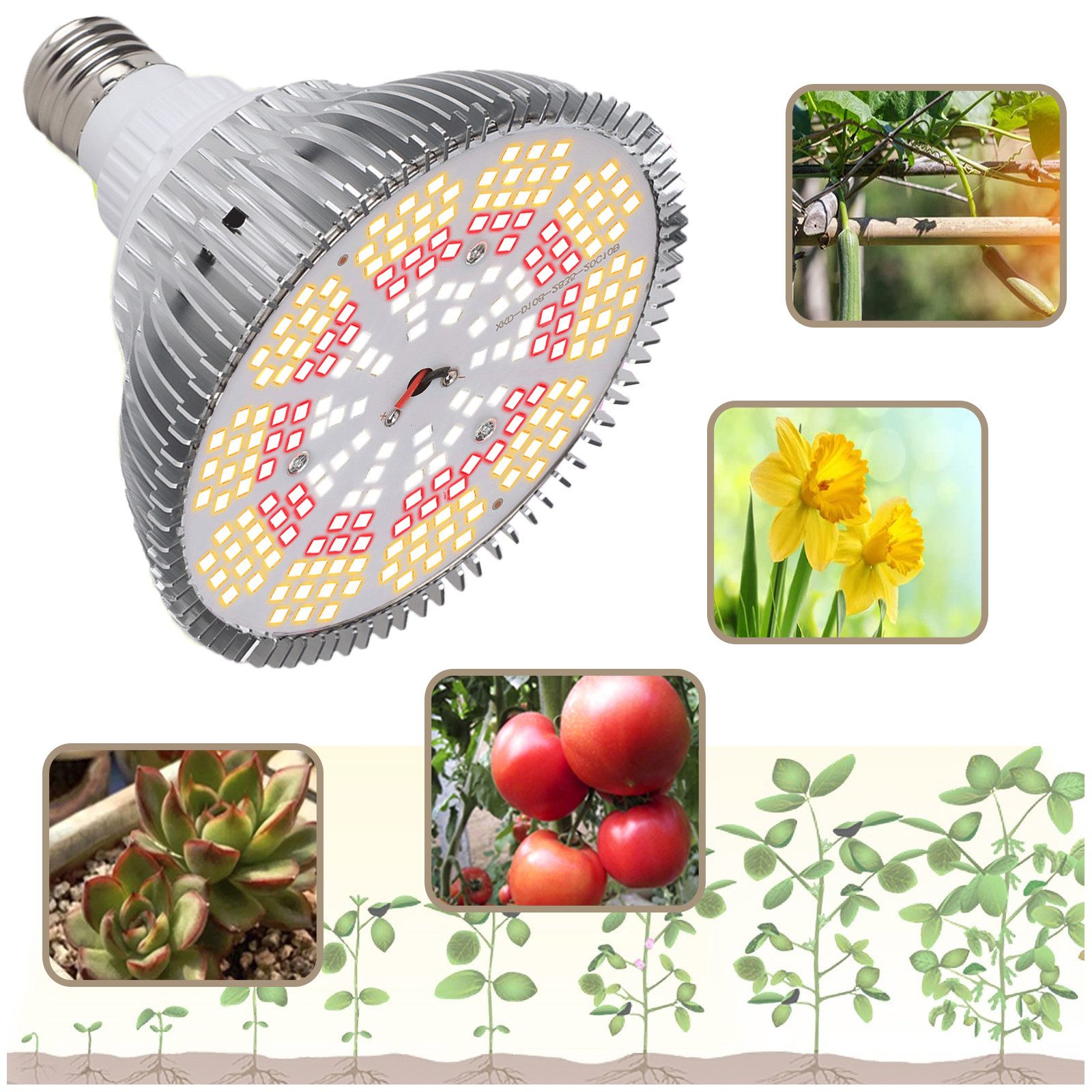 Jibenhome Pflanzenlampe Wachstumslampe Glühbirne Pflanzenlampe Leuchtmittel günstig online kaufen