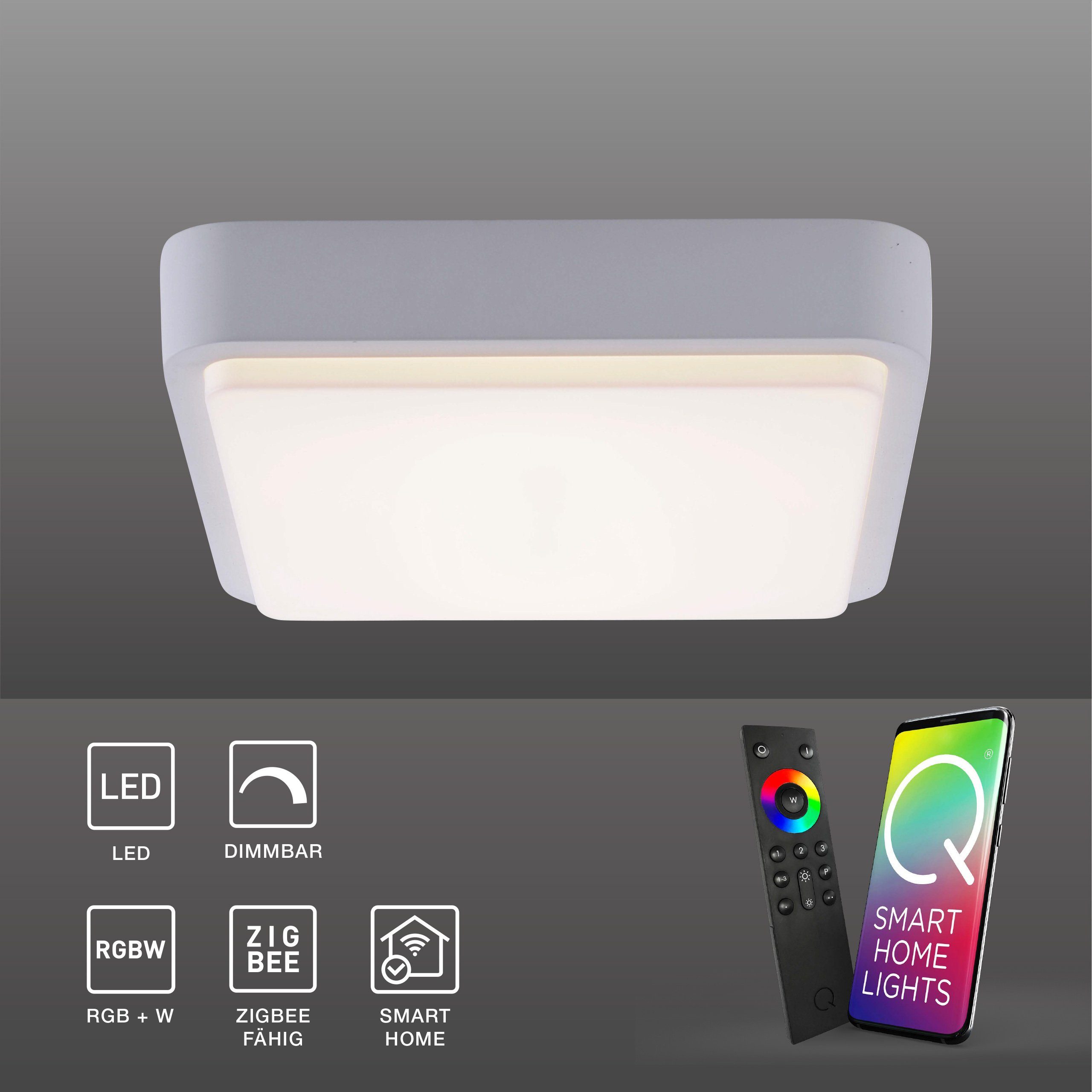 Paul Neuhaus Smarte LED-Leuchte Dimmfunktion, Fassaden RGB+W, RGB-Farbwechsel, Smart Home Wand- Memoryfunktion, Außenleuchte Leuchtmittel, Smart Q Home, dimmbar - Farbwechsel LED mit Deckenleuchte, LENNY