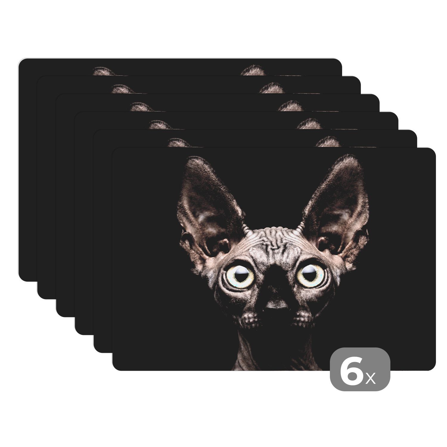 Platzset, Katze - Haustiere - Porträt - Schwarz, MuchoWow, (6-St), Platzset, Platzdecken, Platzmatte, Tischmatten, Schmutzabweisend