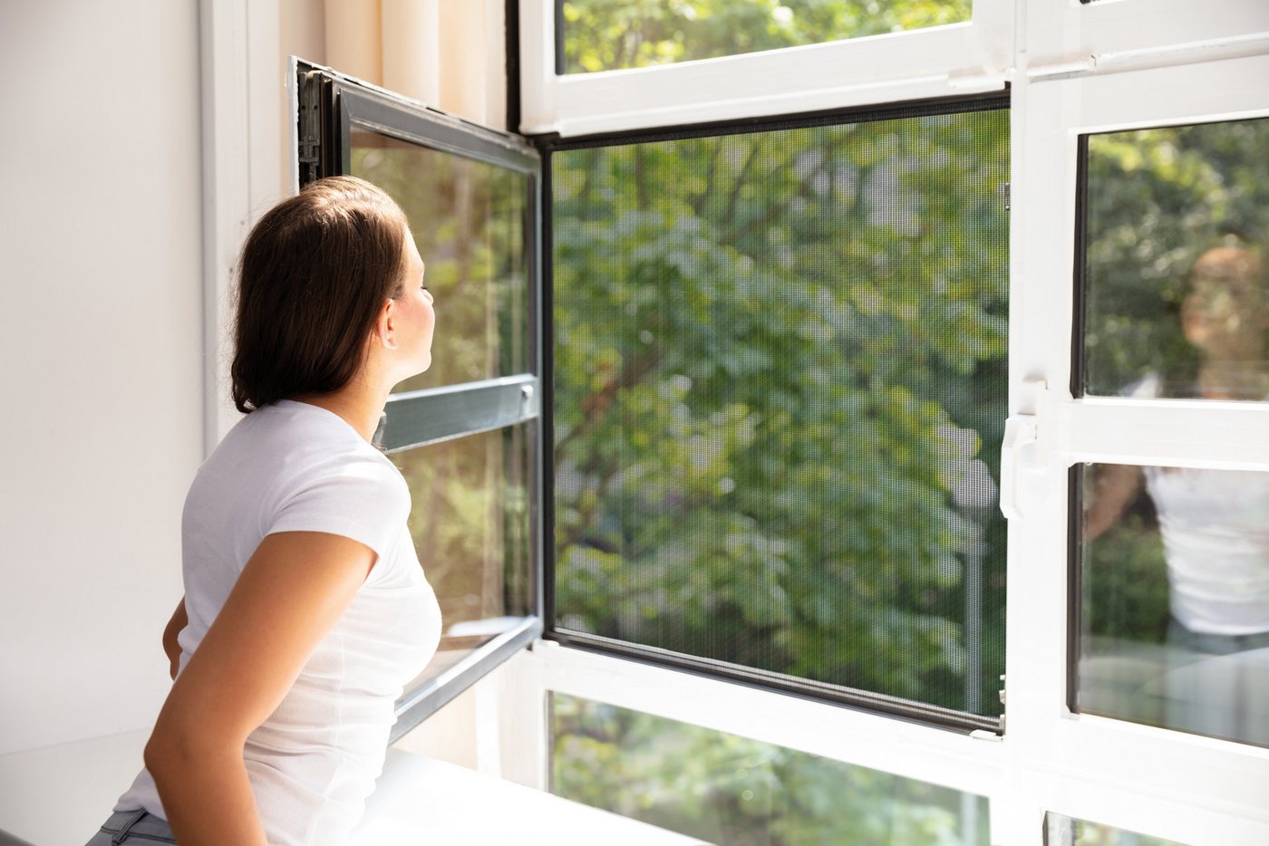 Thumbnail - SCHELLENBERG Fliegengitter-Gewebe Maxi für große Fenster, (Packung, 1-St), Insektenschutz und Mückenschutz, 150 x 300 cm...
