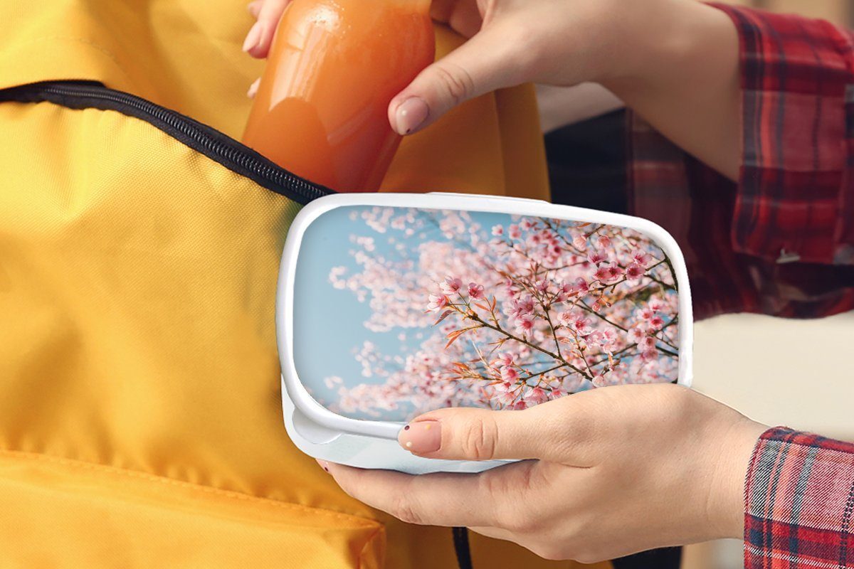Kinder und Erwachsene, weiß Brotbox Brotdose, Zweige, für und Kunststoff, - Lunchbox Sakura Frühling MuchoWow für - (2-tlg), Mädchen Jungs