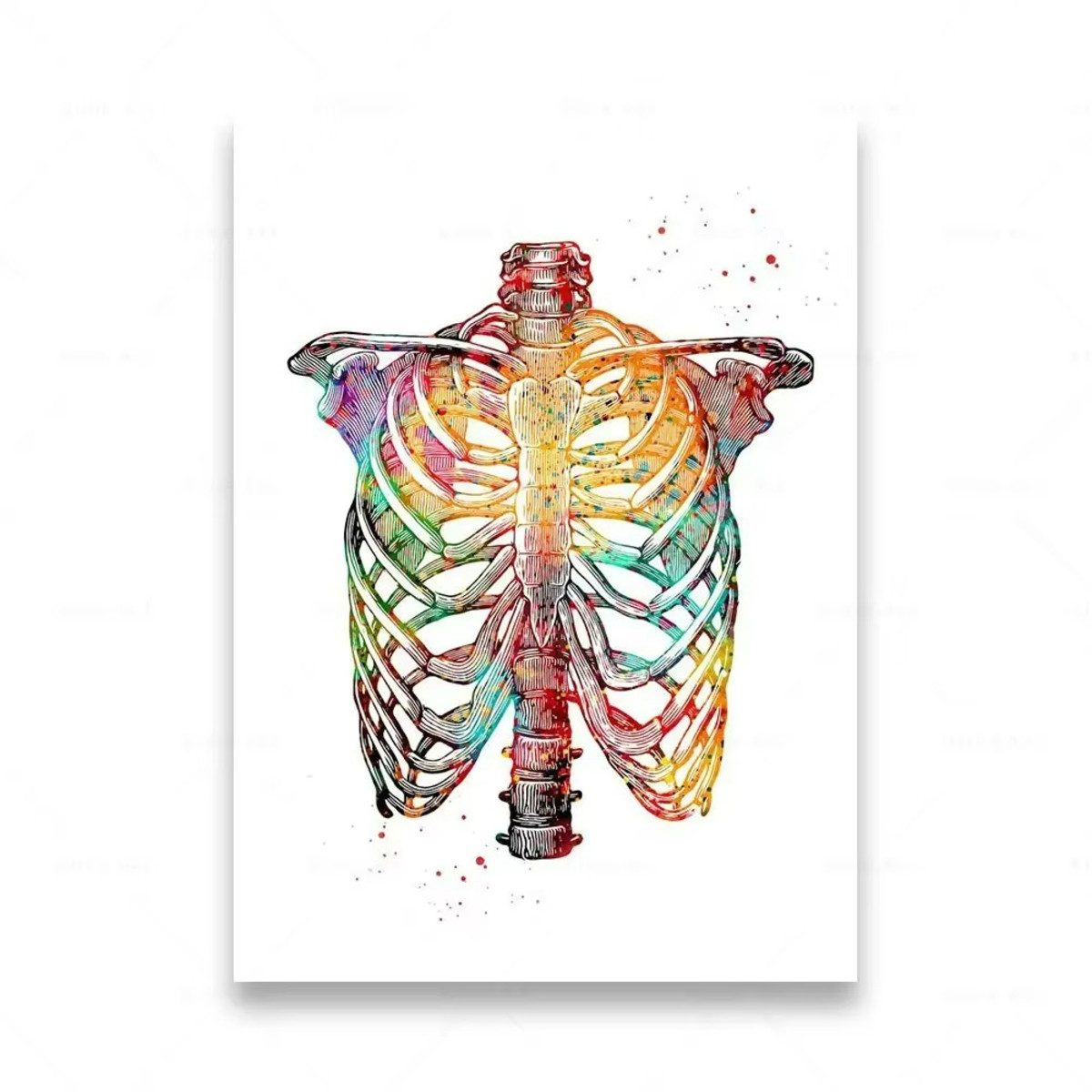 TPFLiving Kunstdruck (OHNE RAHMEN) Poster - Leinwand - Wandbild, Menschliche Anatomie, Wirbelsäule, Herz, Gehirn, Zähne, HD-Leinwand (Leinwandbild XXL), Farben: Orange, Rot, Blau, Schwarz, Weiß, Rosa -Größe: 30x40cm