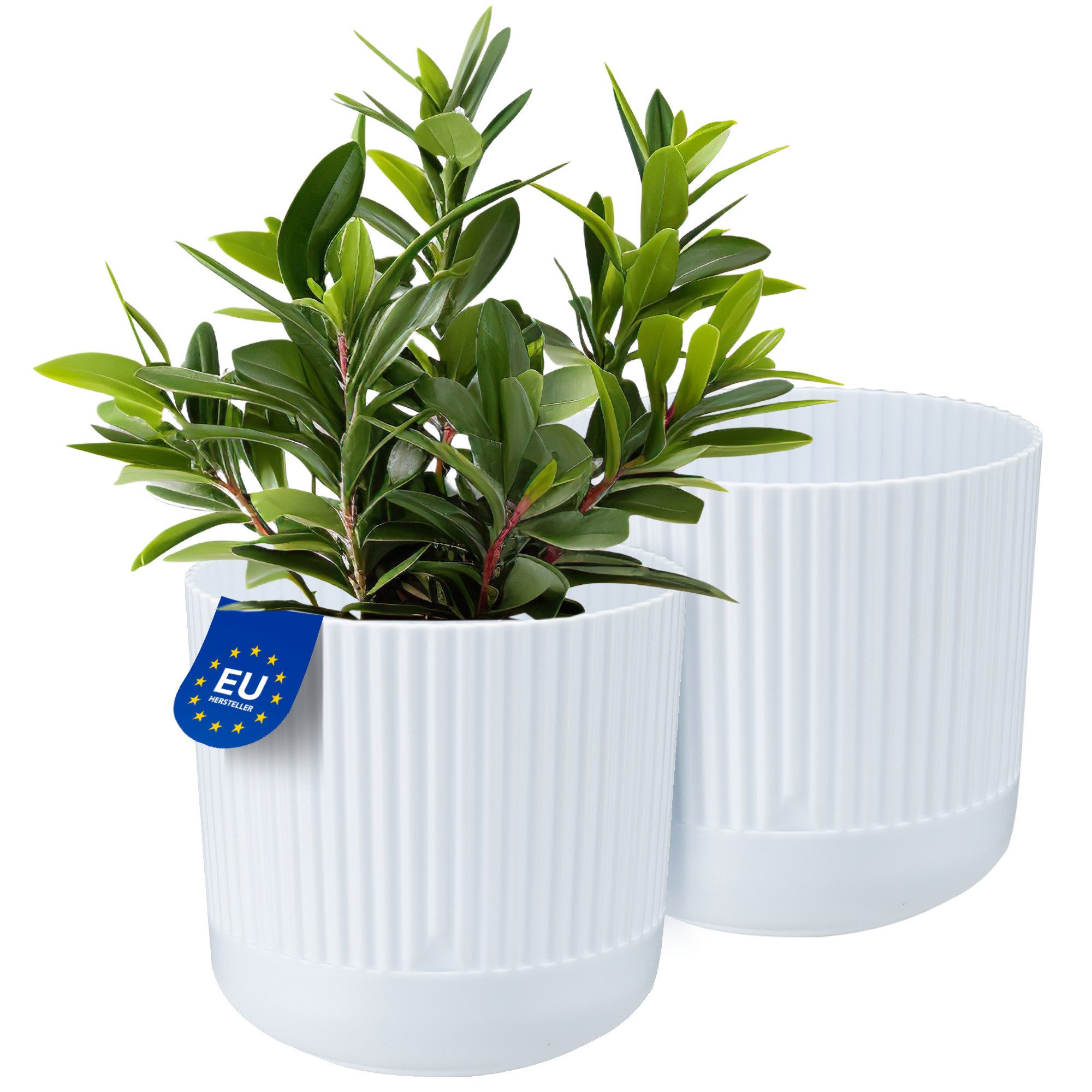 KONZEPT Blumentopf mit Untersetzer, 16 cm günstig online kaufen