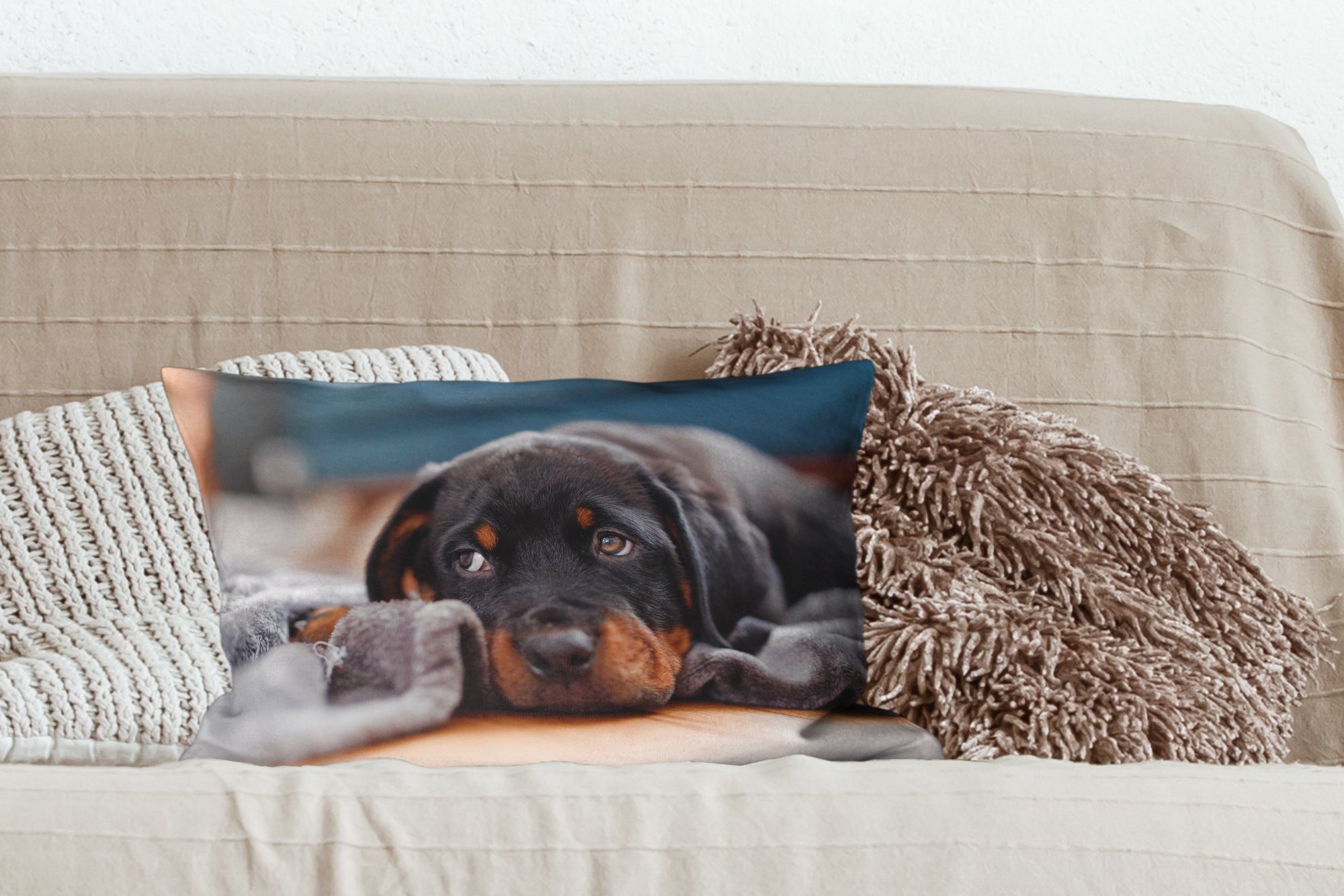 MuchoWow Schlafzimmer Niedlicher Wohzimmer auf Zierkissen, Dekoration, mit Füllung, Rottweiler-Welpe dem Dekokissen Dekokissen liegt Boden,