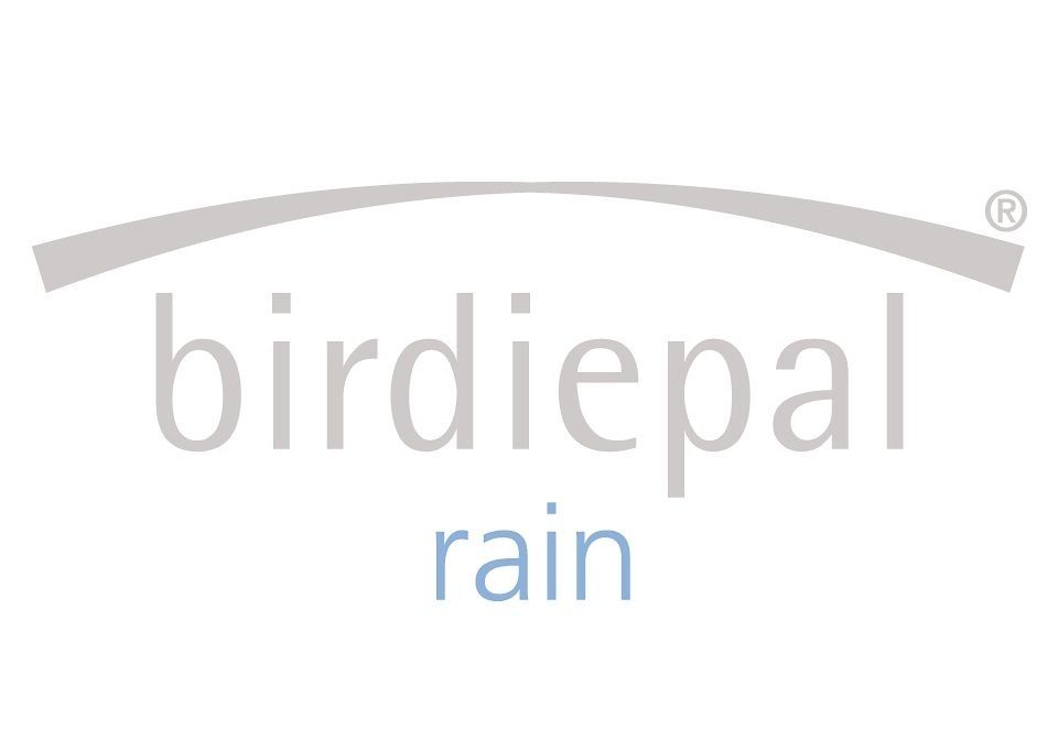 EuroSCHIRM® Stockregenschirm birdiepal® rain, mit schwarz großem Dach extra