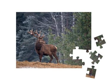 puzzleYOU Puzzle Stolzer Hirsch mit großen Geweih, einsam im Wald, 48 Puzzleteile, puzzleYOU-Kollektionen Hirsche, Tiere in Wald & Gebirge