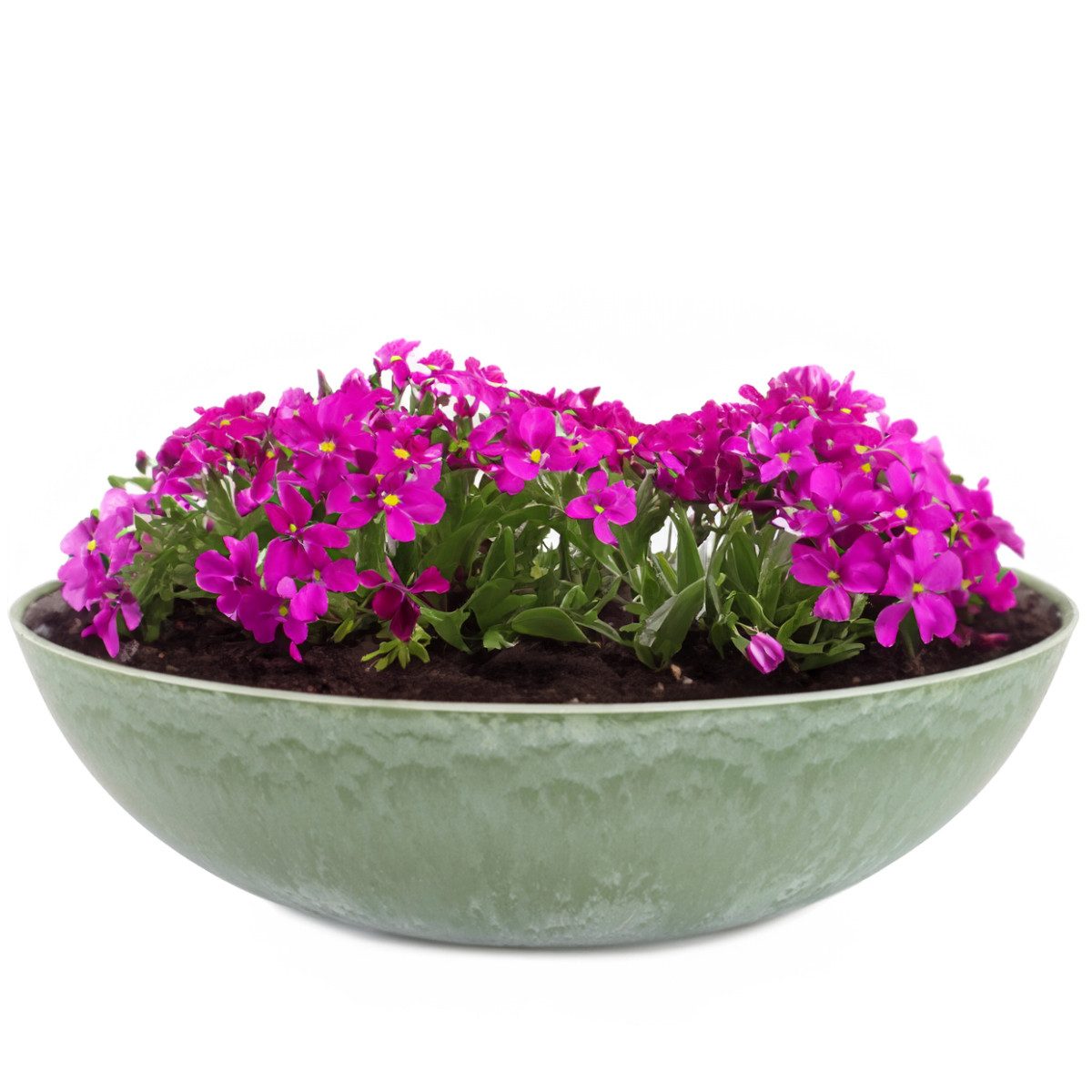 matches21 HOME & HOBBY Blumentopf Pflanzschale für draussen Dekoschale rund günstig online kaufen