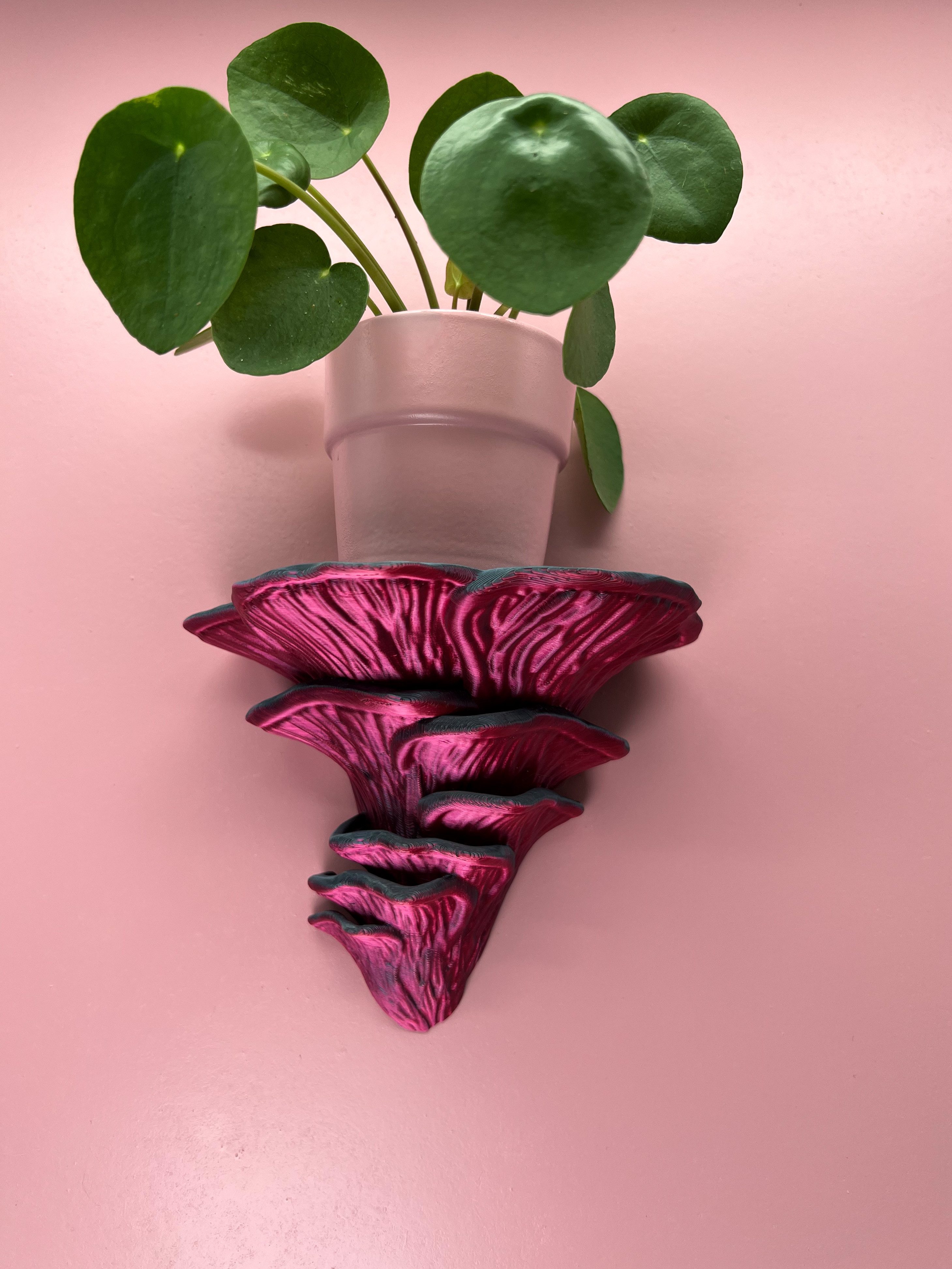 Roomberry Deko-Wandregal Flamingo-Seitling Pilz Wandregal, Hergestellt günstig online kaufen