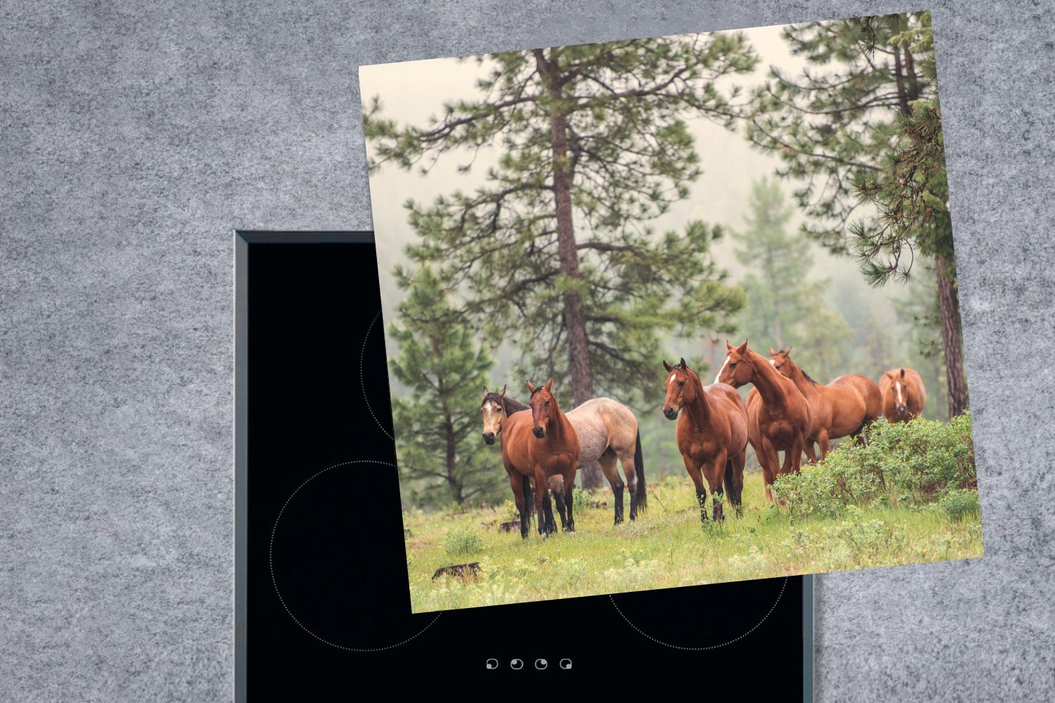 MuchoWow - 78x78 küche - Vinyl, (1 Ceranfeldabdeckung, tlg), Wald Nebel, Herdblende-/Abdeckplatte Pferde für Arbeitsplatte cm,